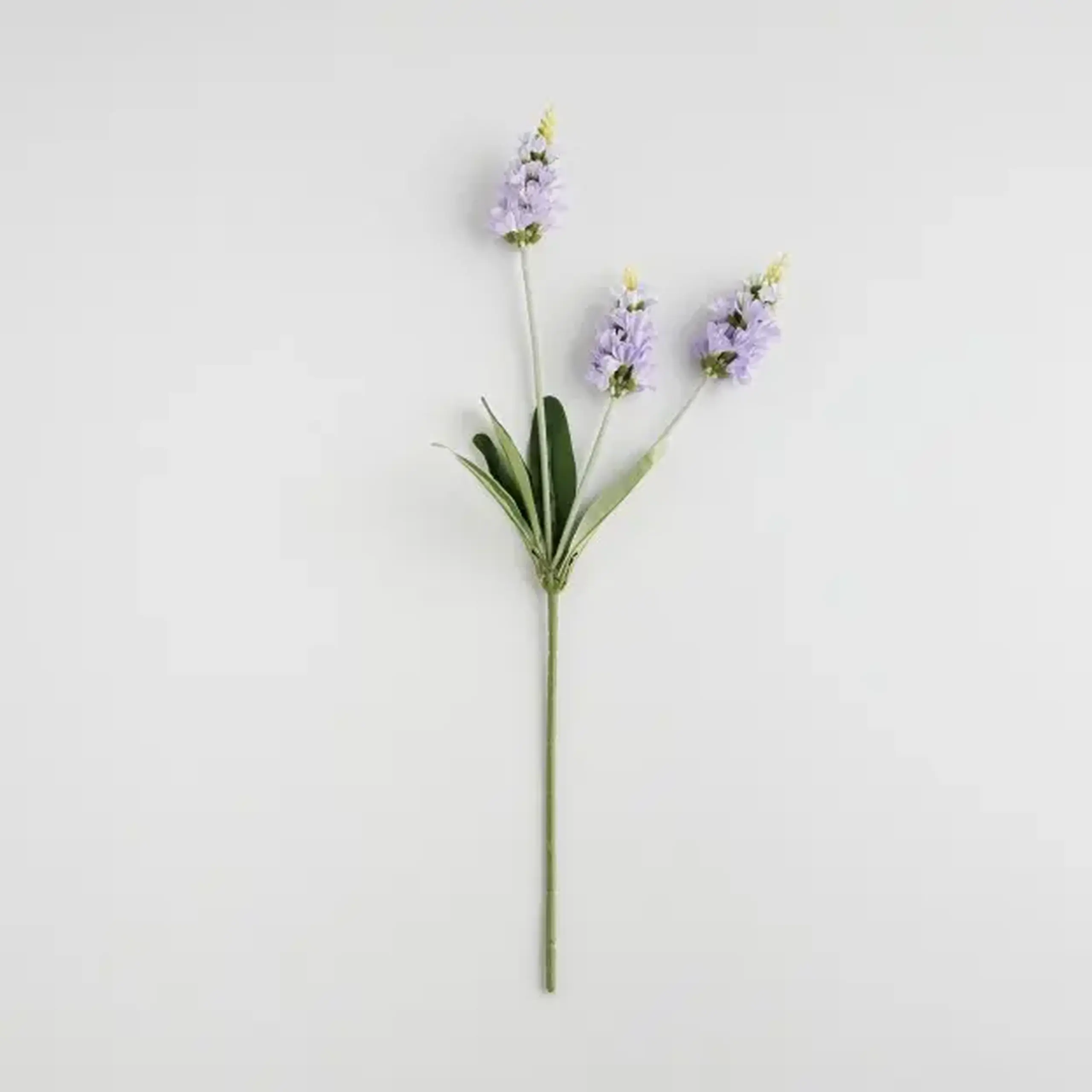 Crenguță decorativă PRESTIS