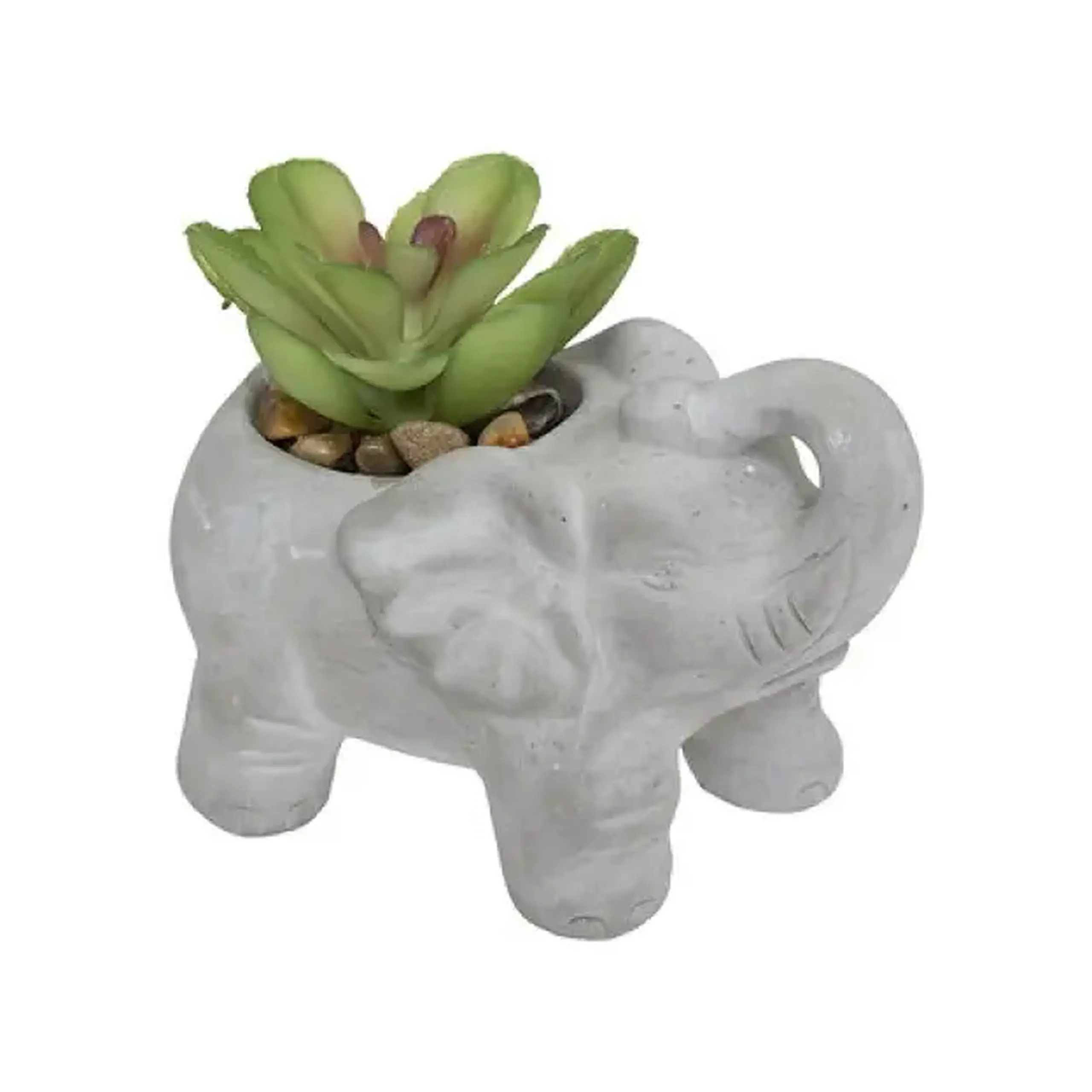 Plantă decorativă ELEPHAMIO H10