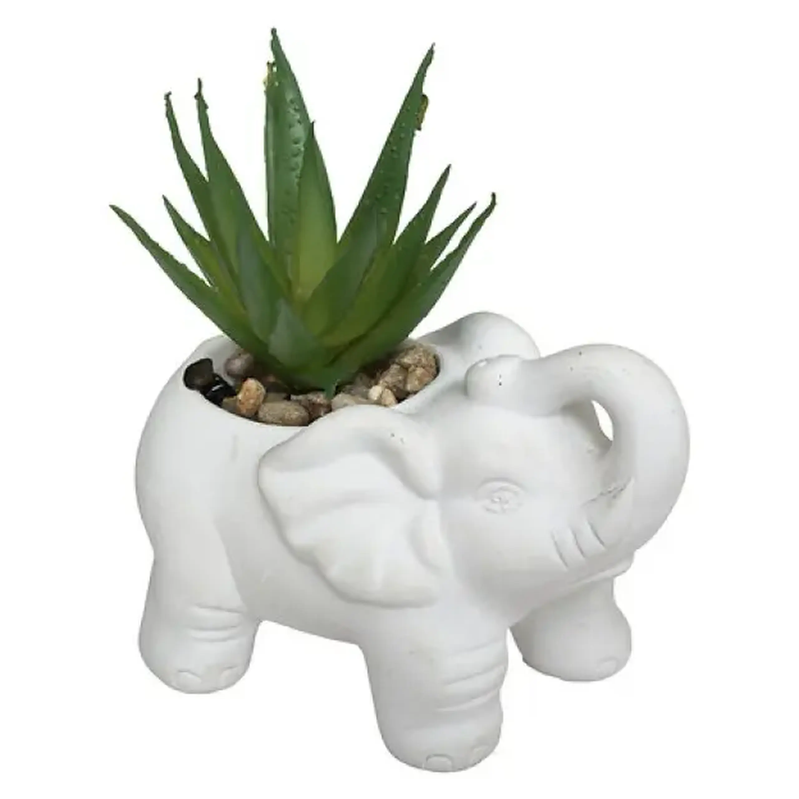 Plantă decorativă ELEPHAMIO H10