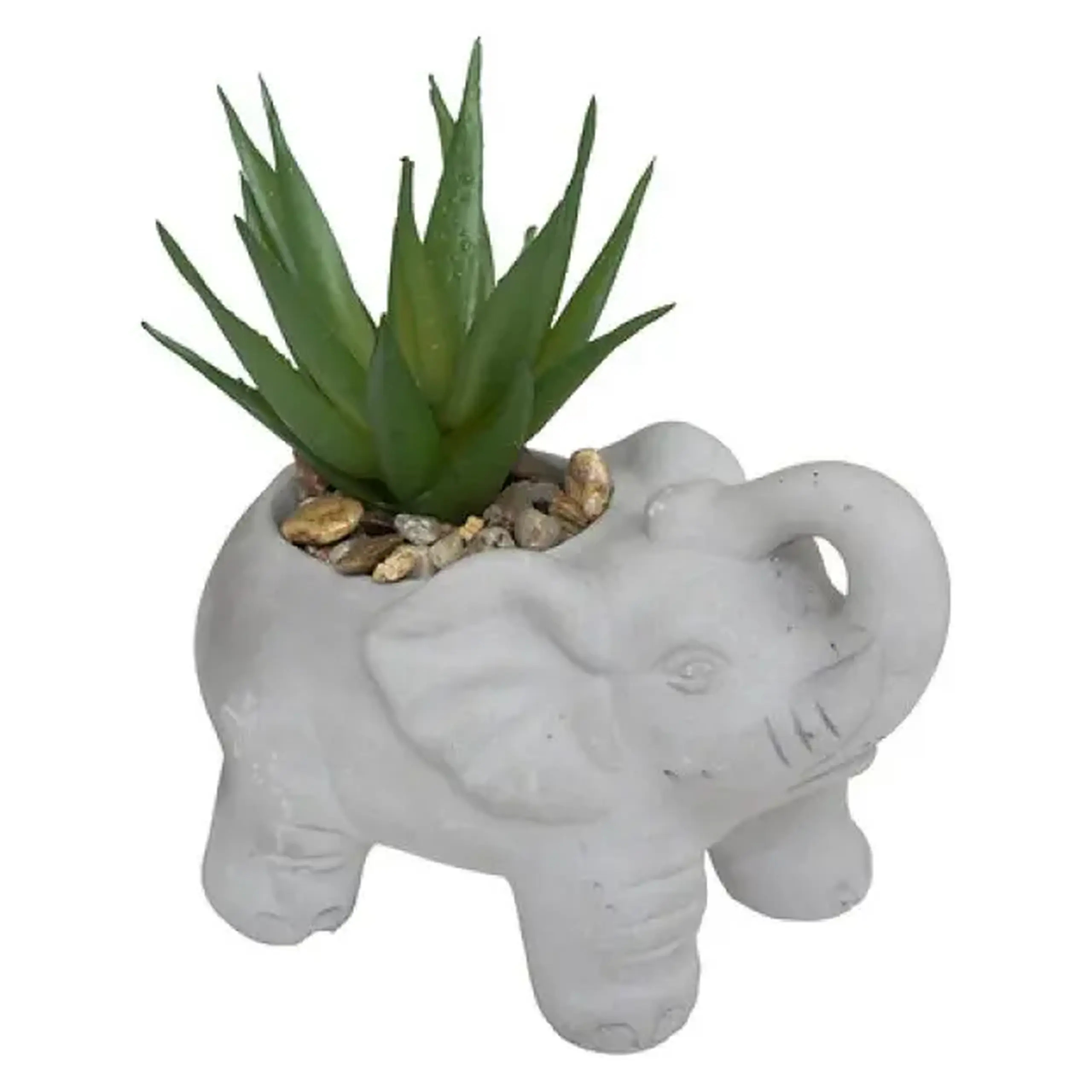 Plantă decorativă ELEPHAMIO H10