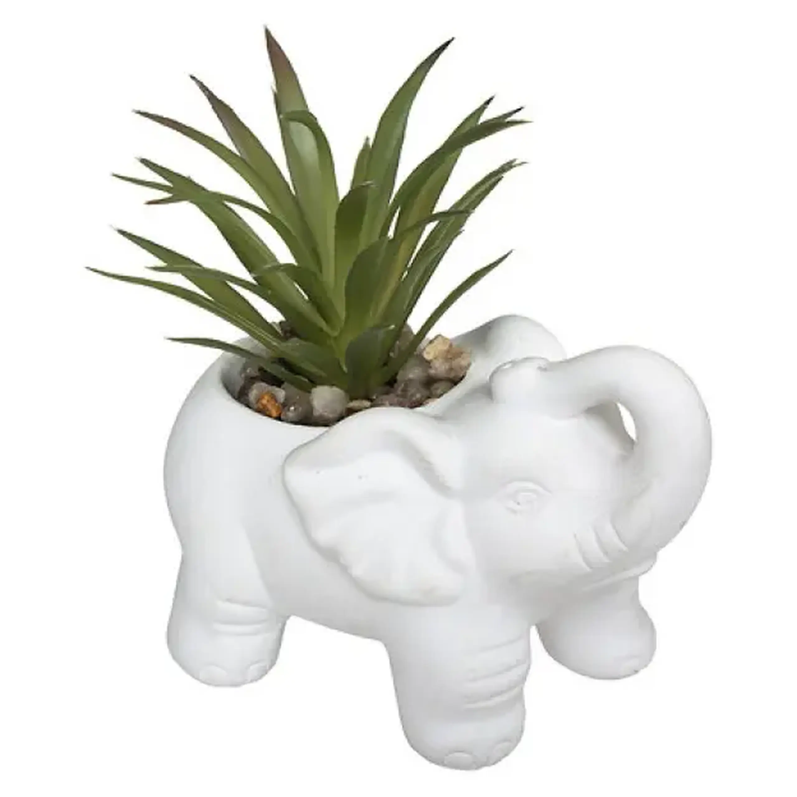 Plantă decorativă ELEPHAMIO H10