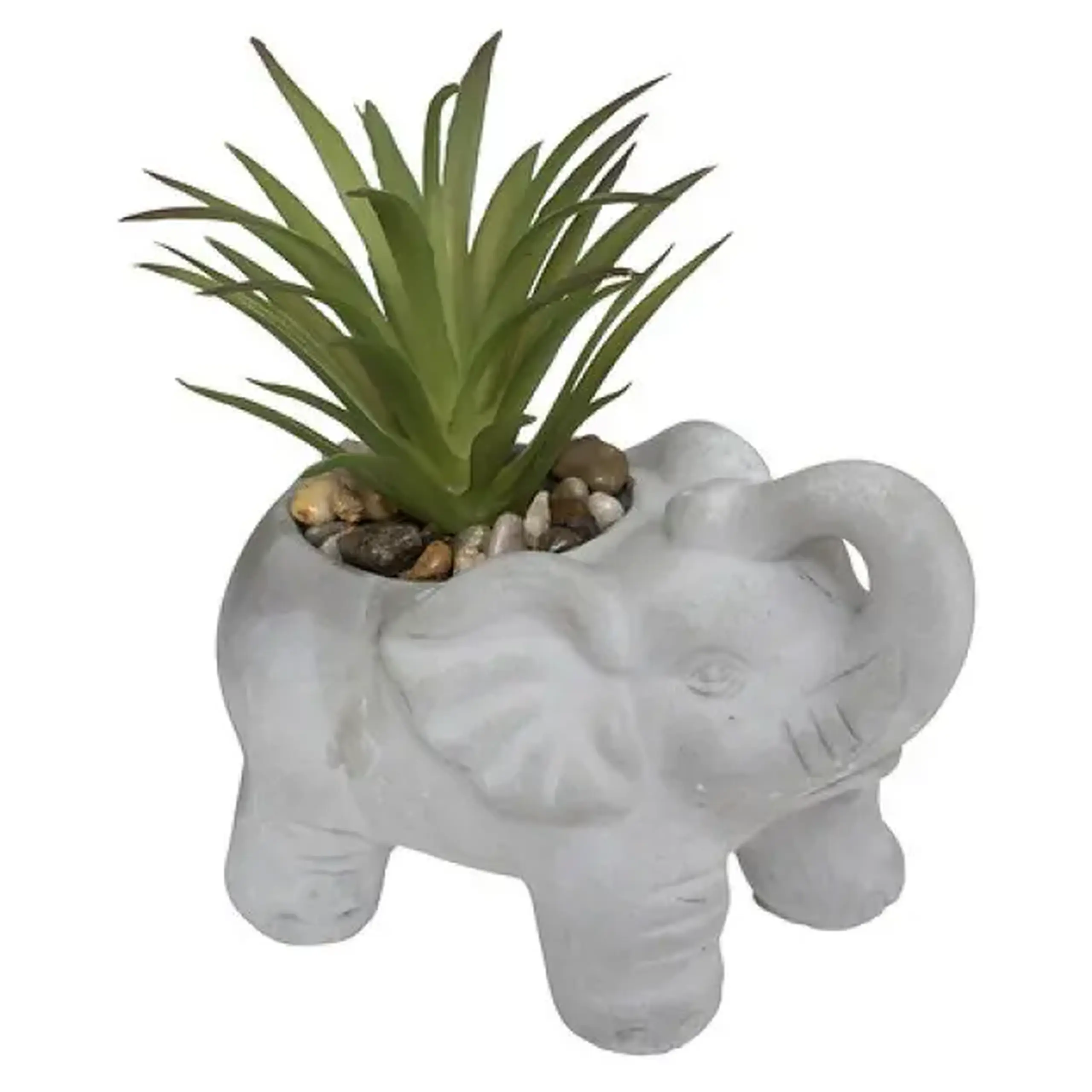 Plantă decorativă ELEPHAMIO H10