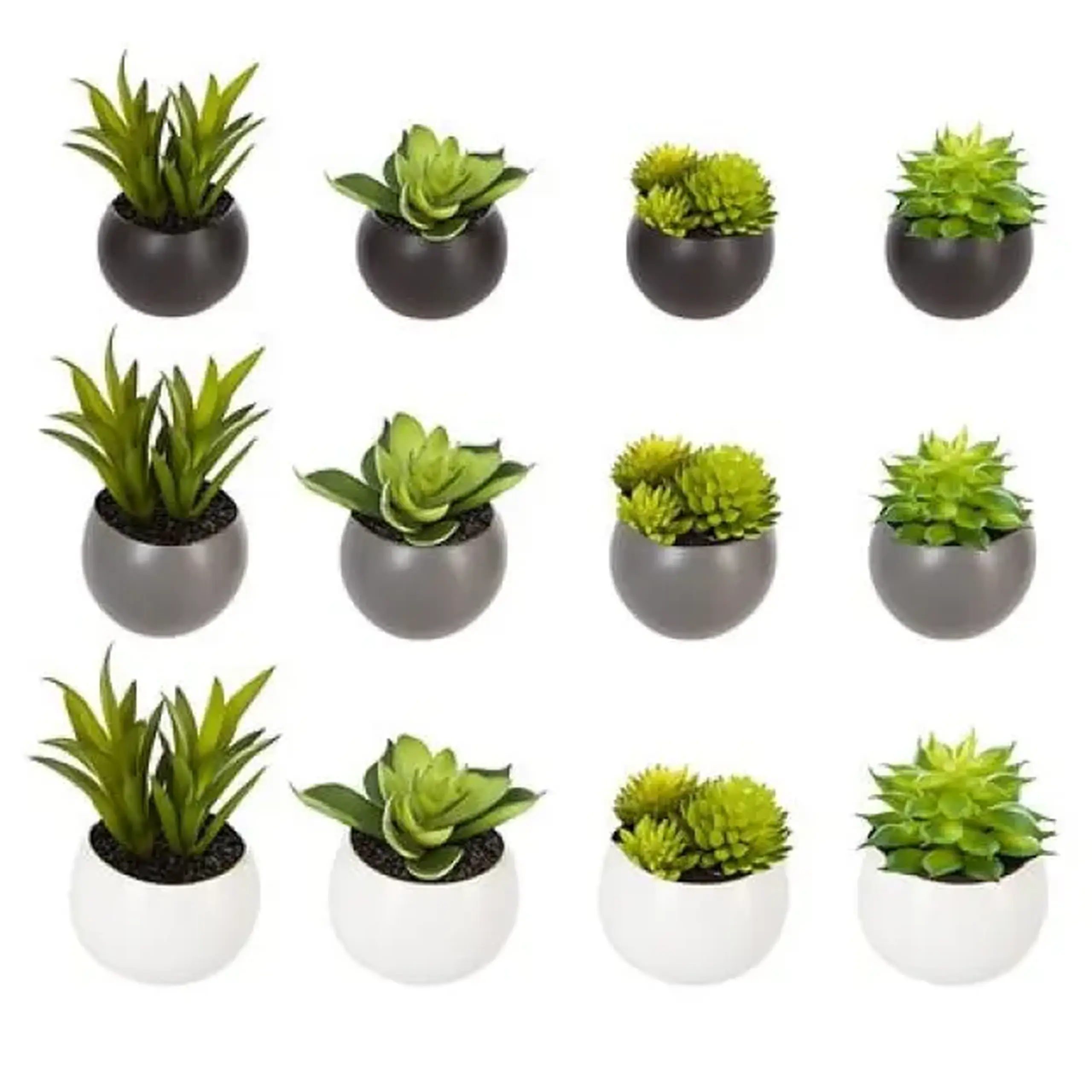 Plantă decorativă H5