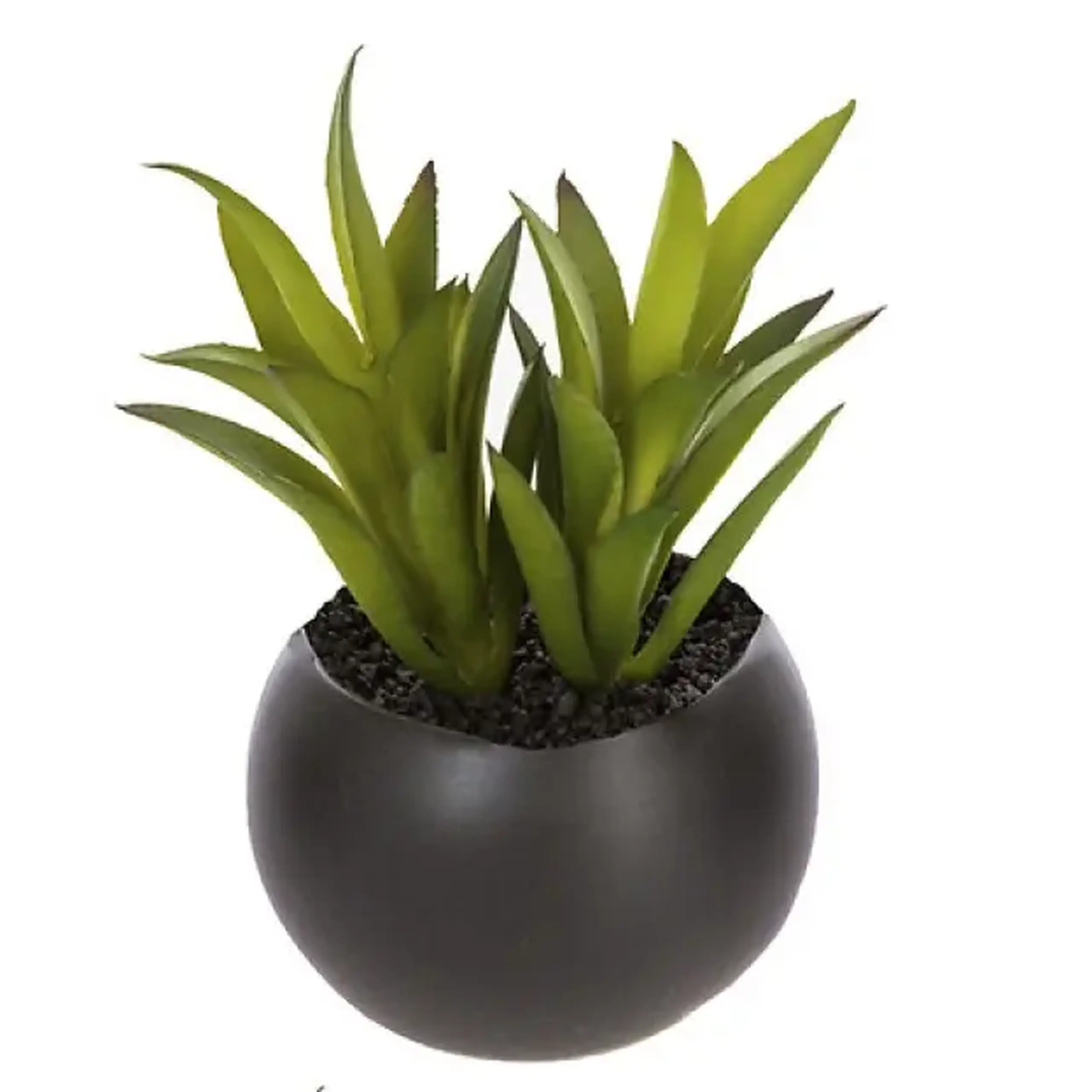 Plantă decorativă H5