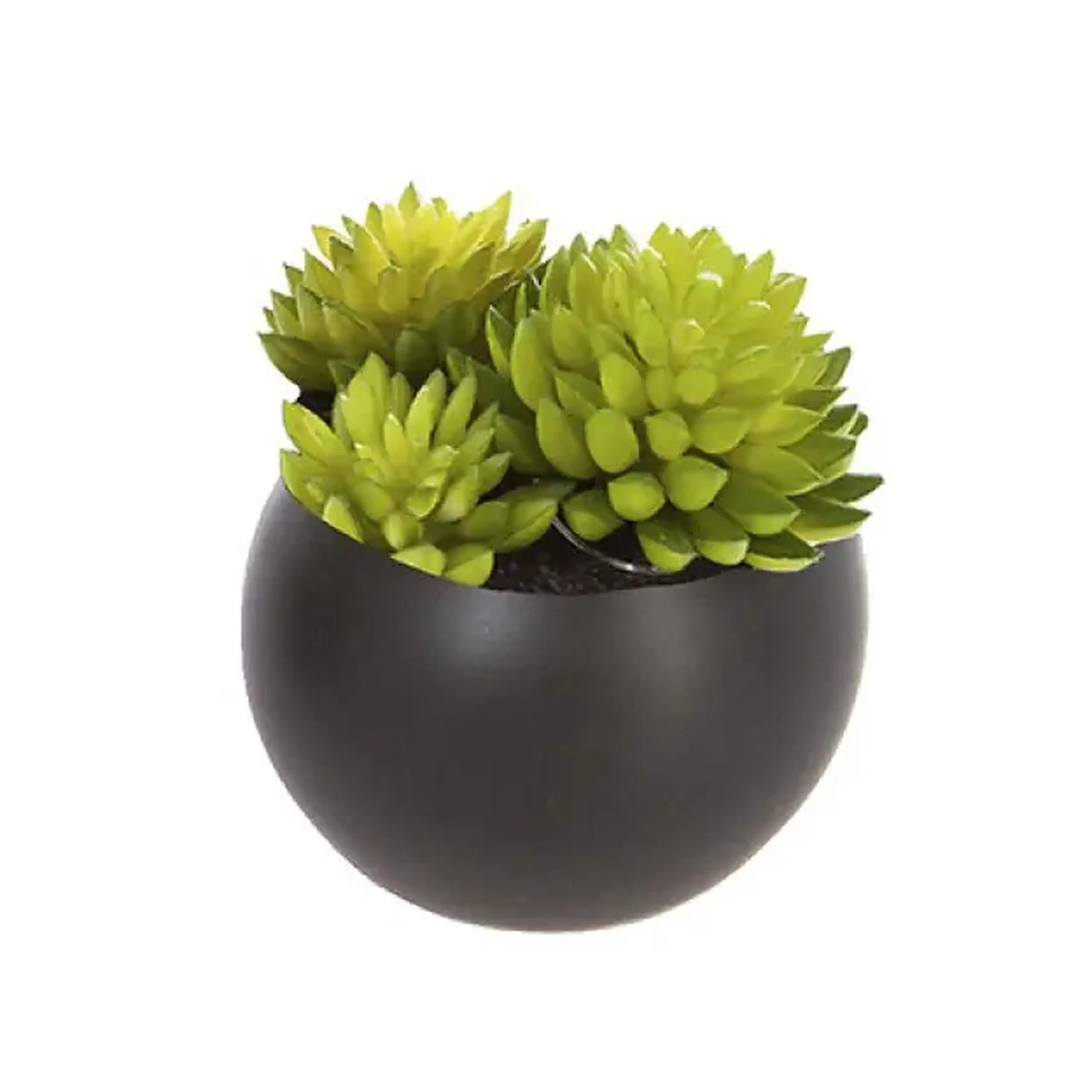 Plantă decorativă H5