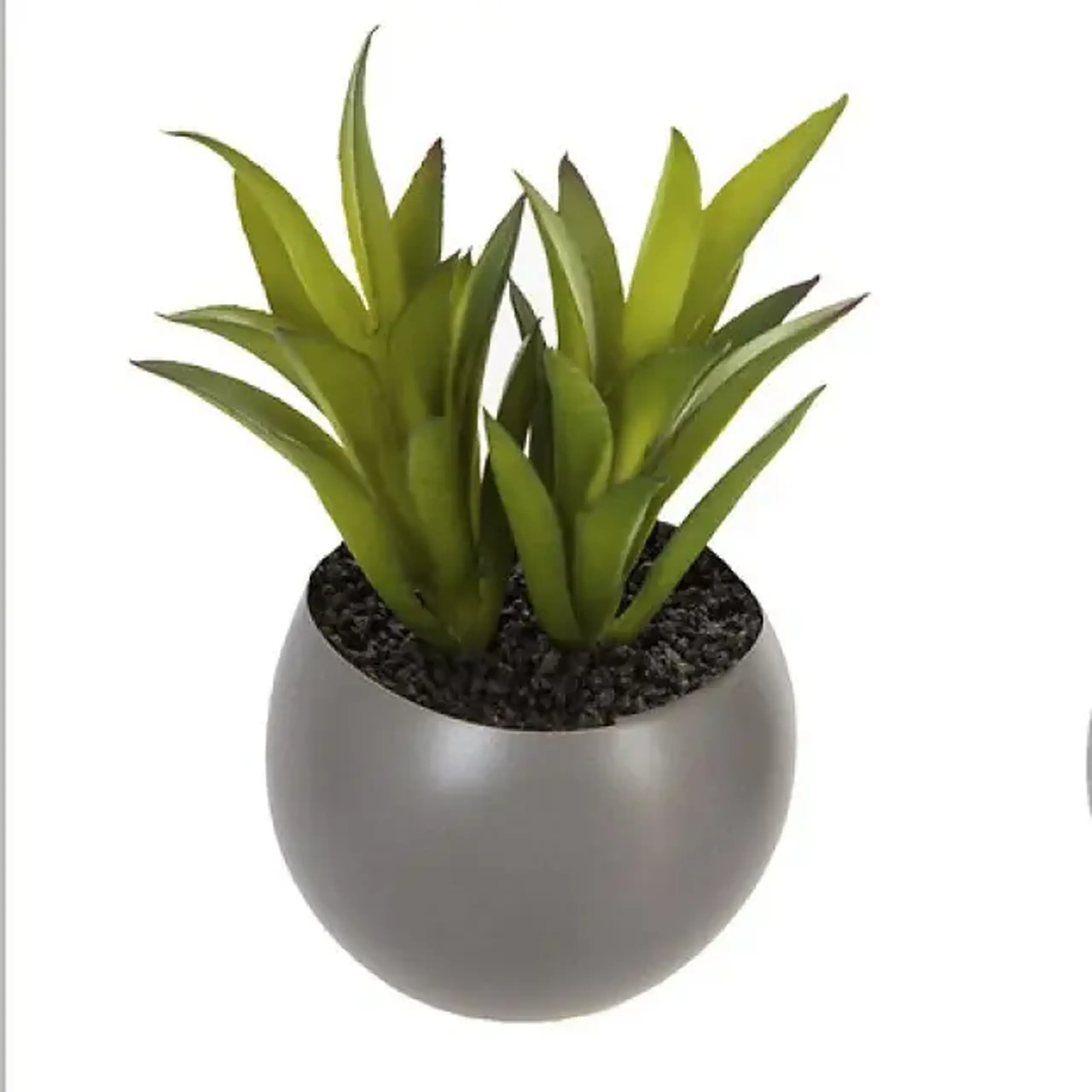 Plantă decorativă H5