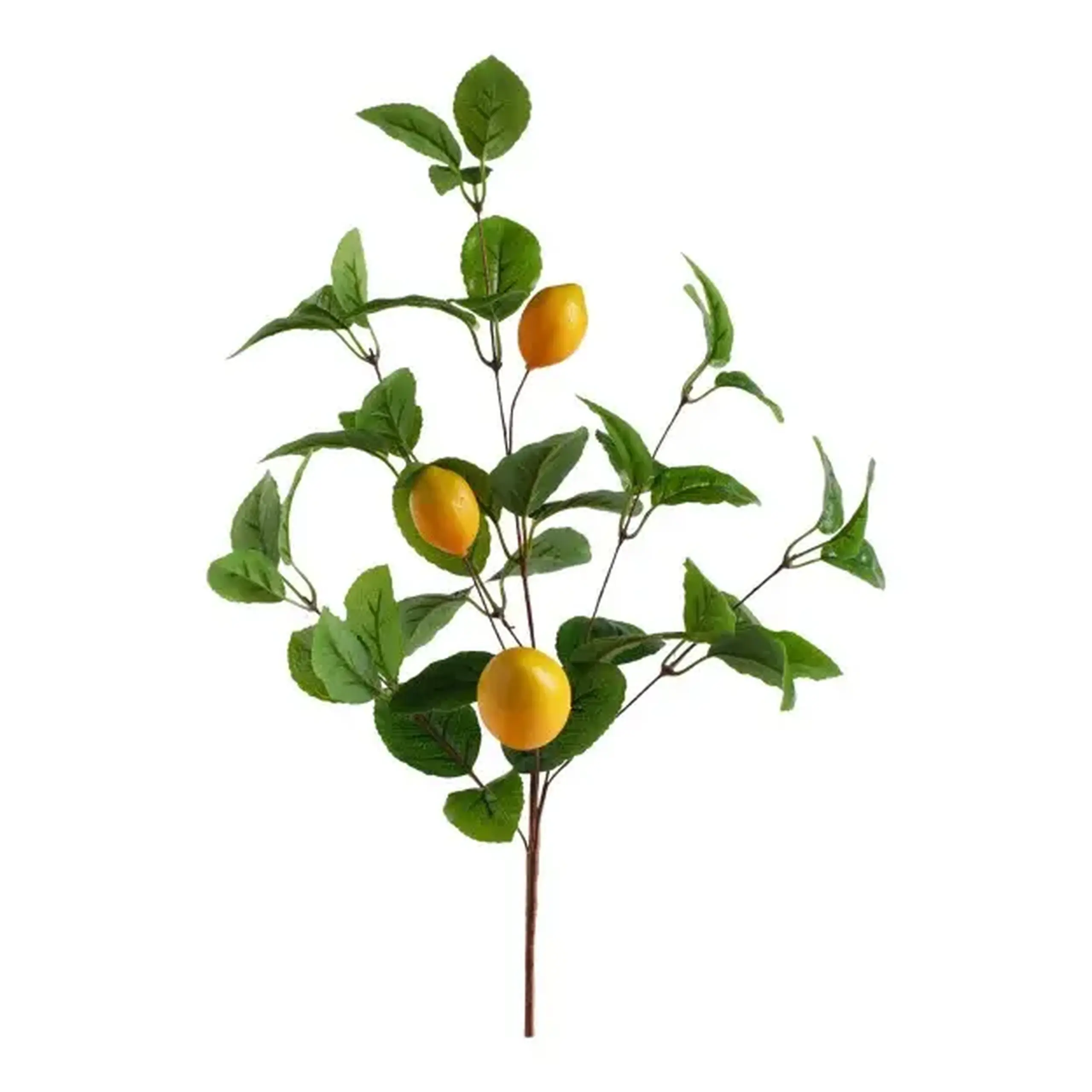 Compoziție de flori LIMONES