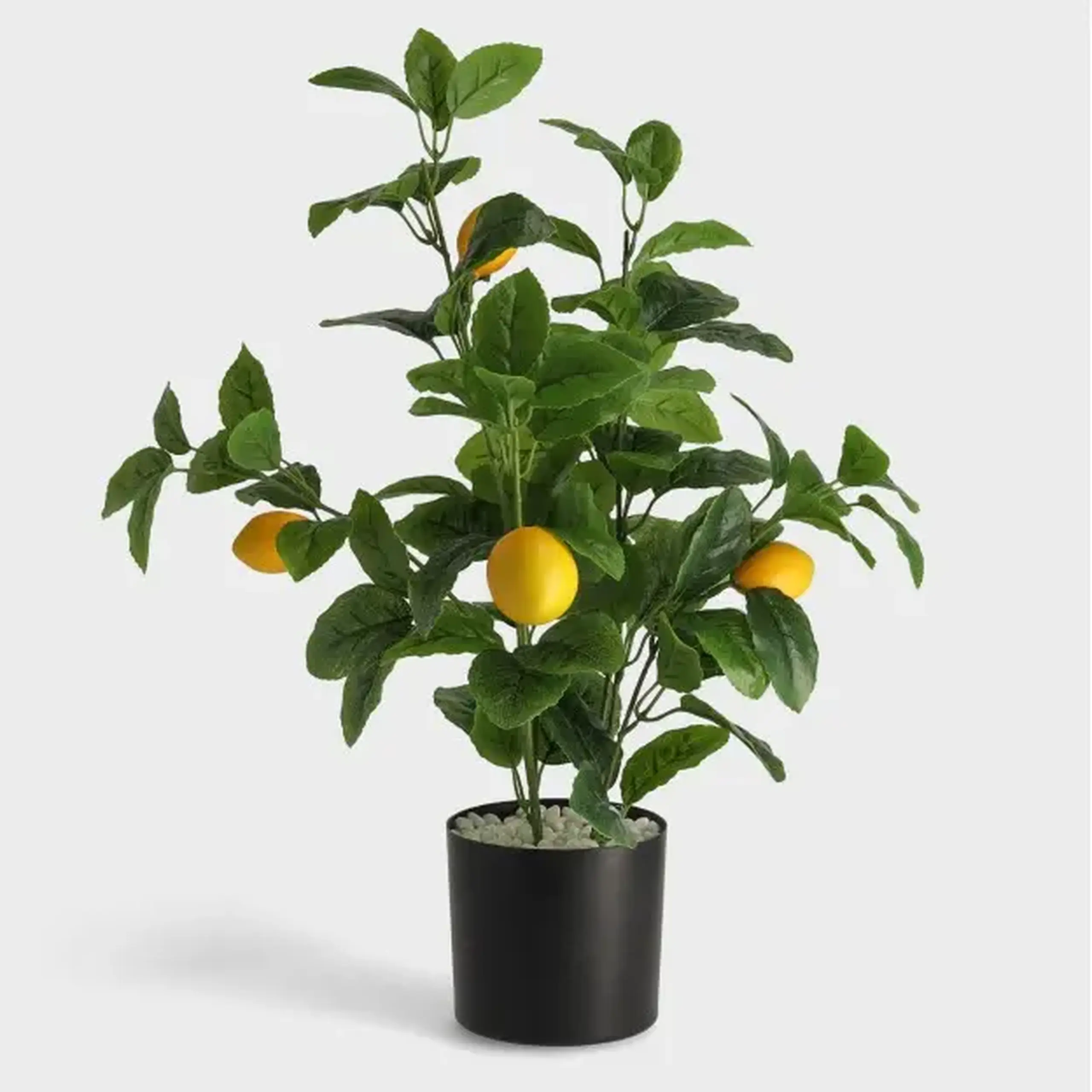 Compoziție de flori LIMONES