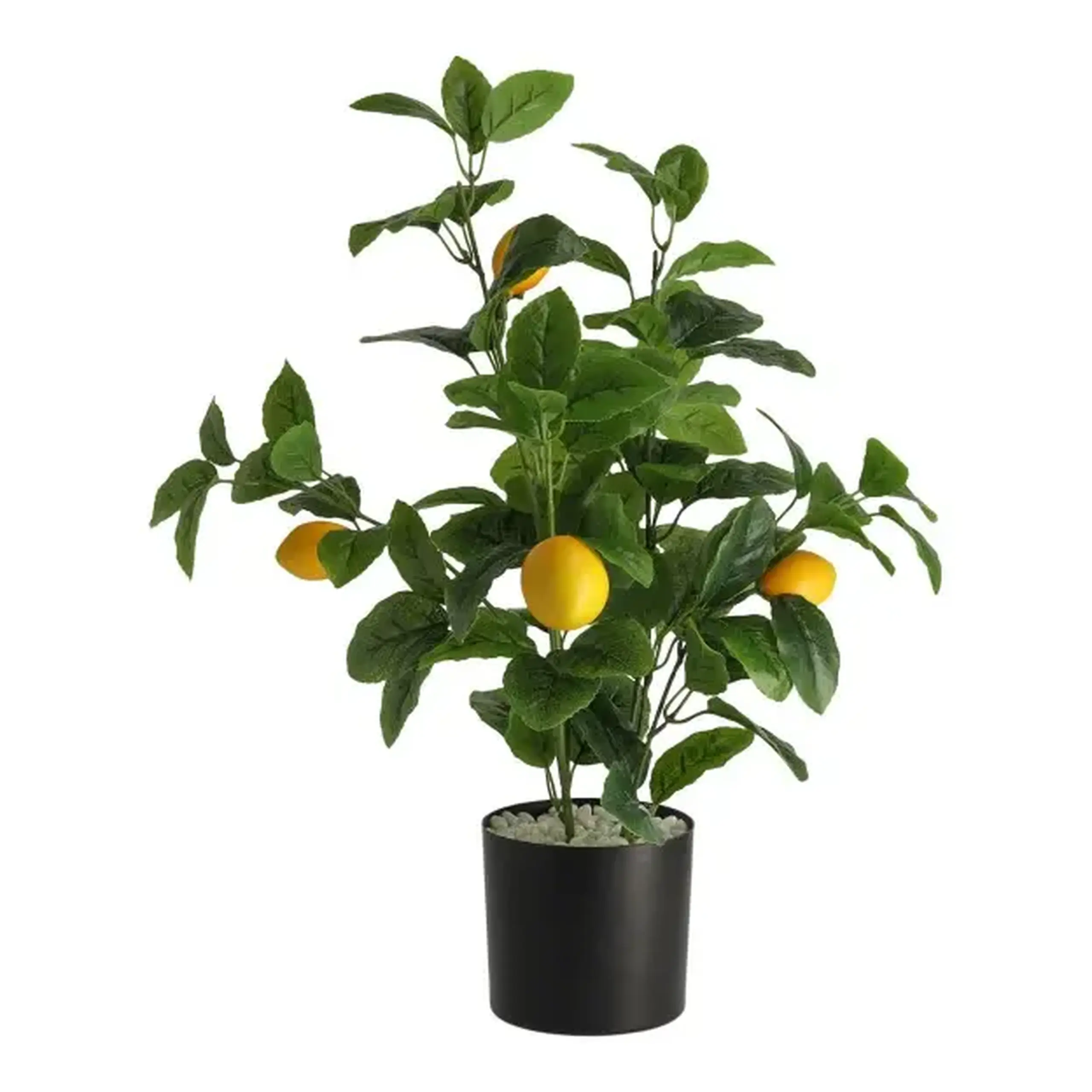 Compoziție de flori LIMONES