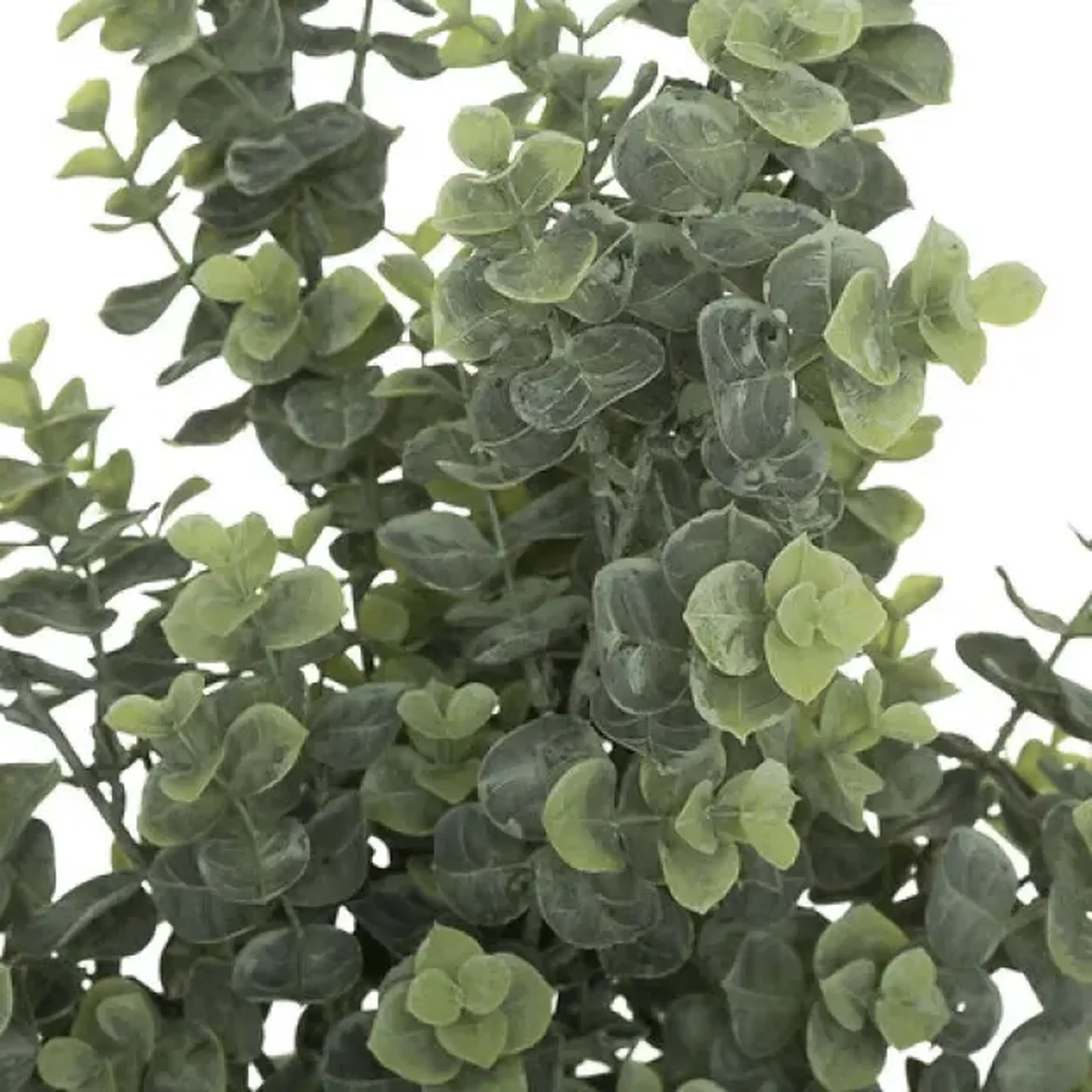 Floare decorativă
