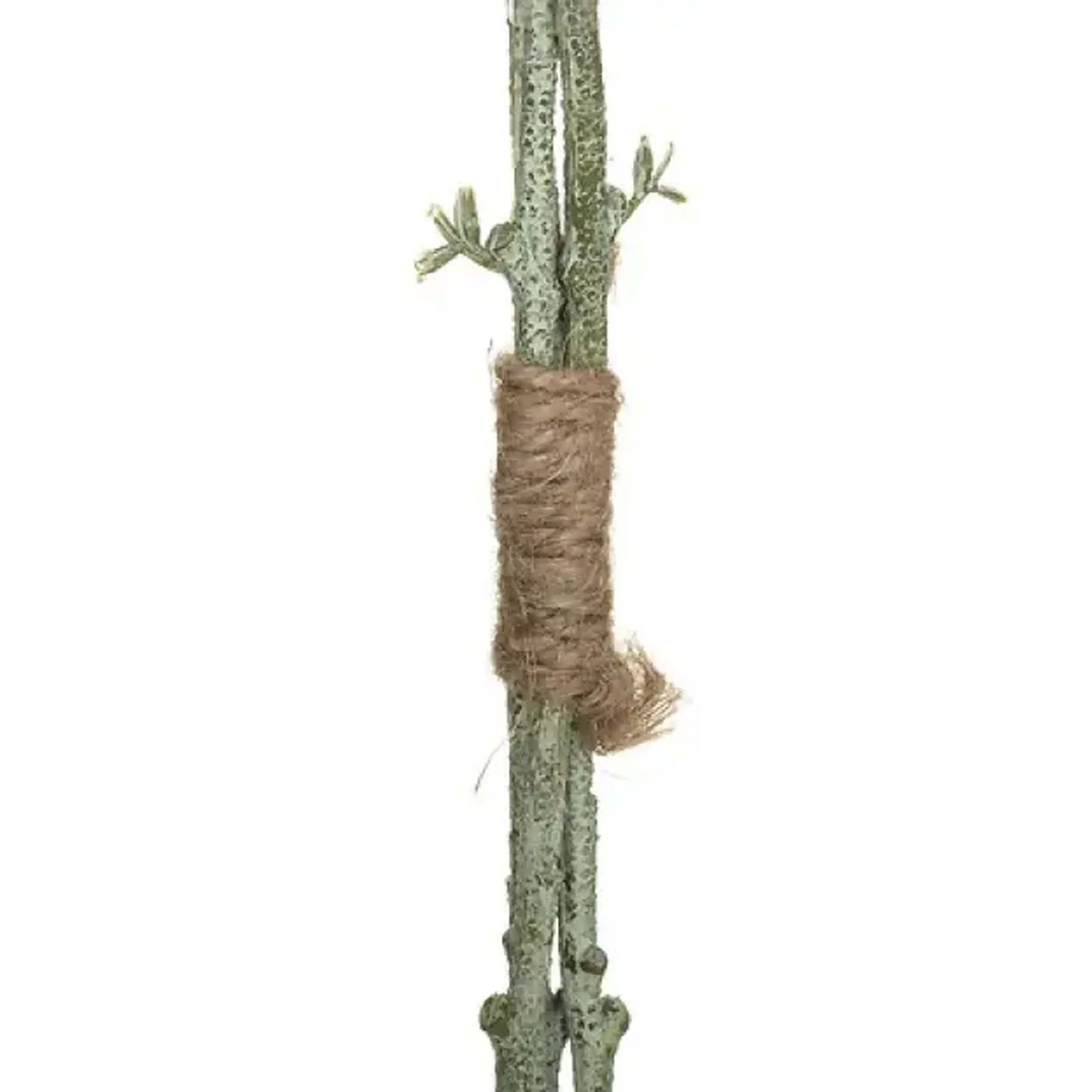 Floare decorativă