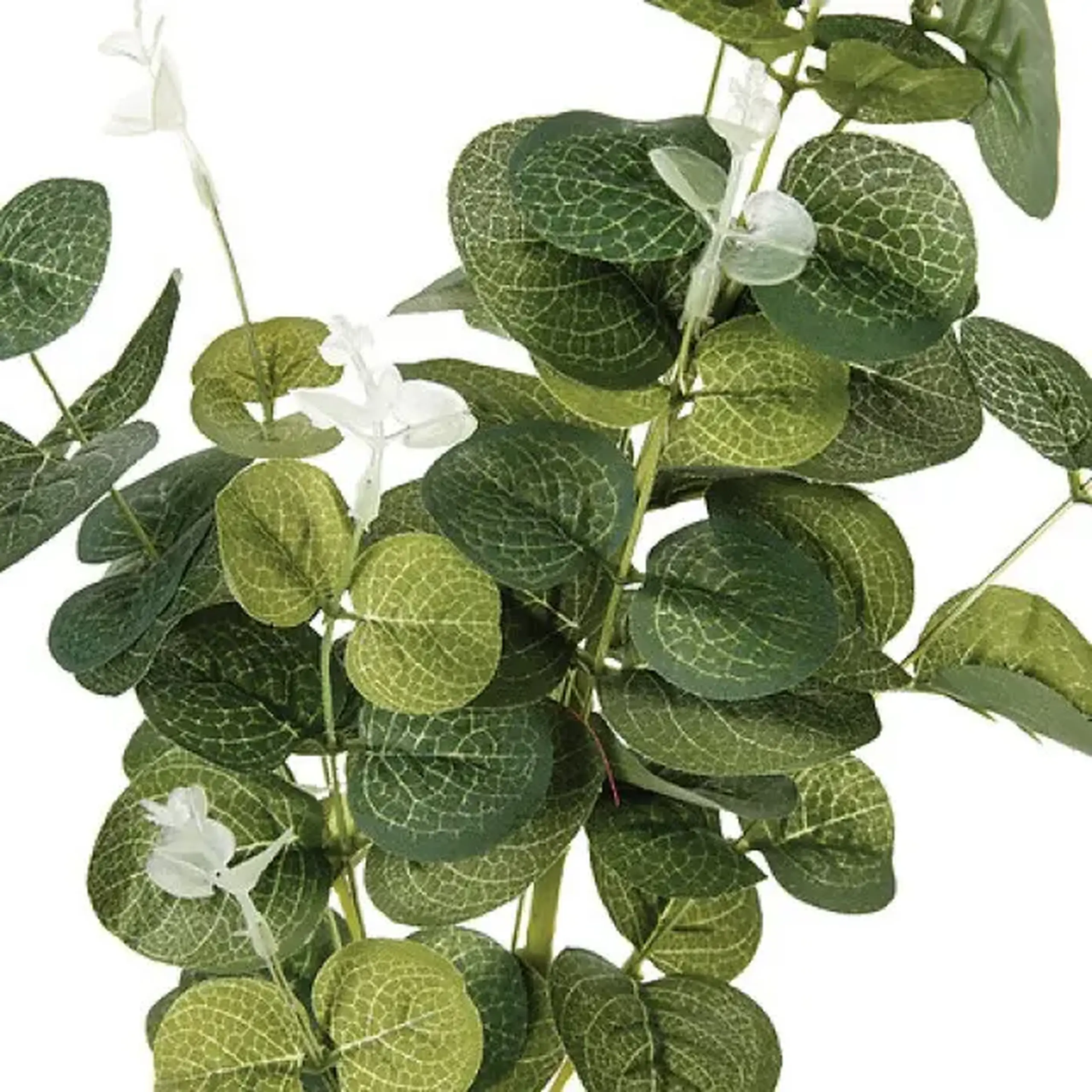 Floare decorativă