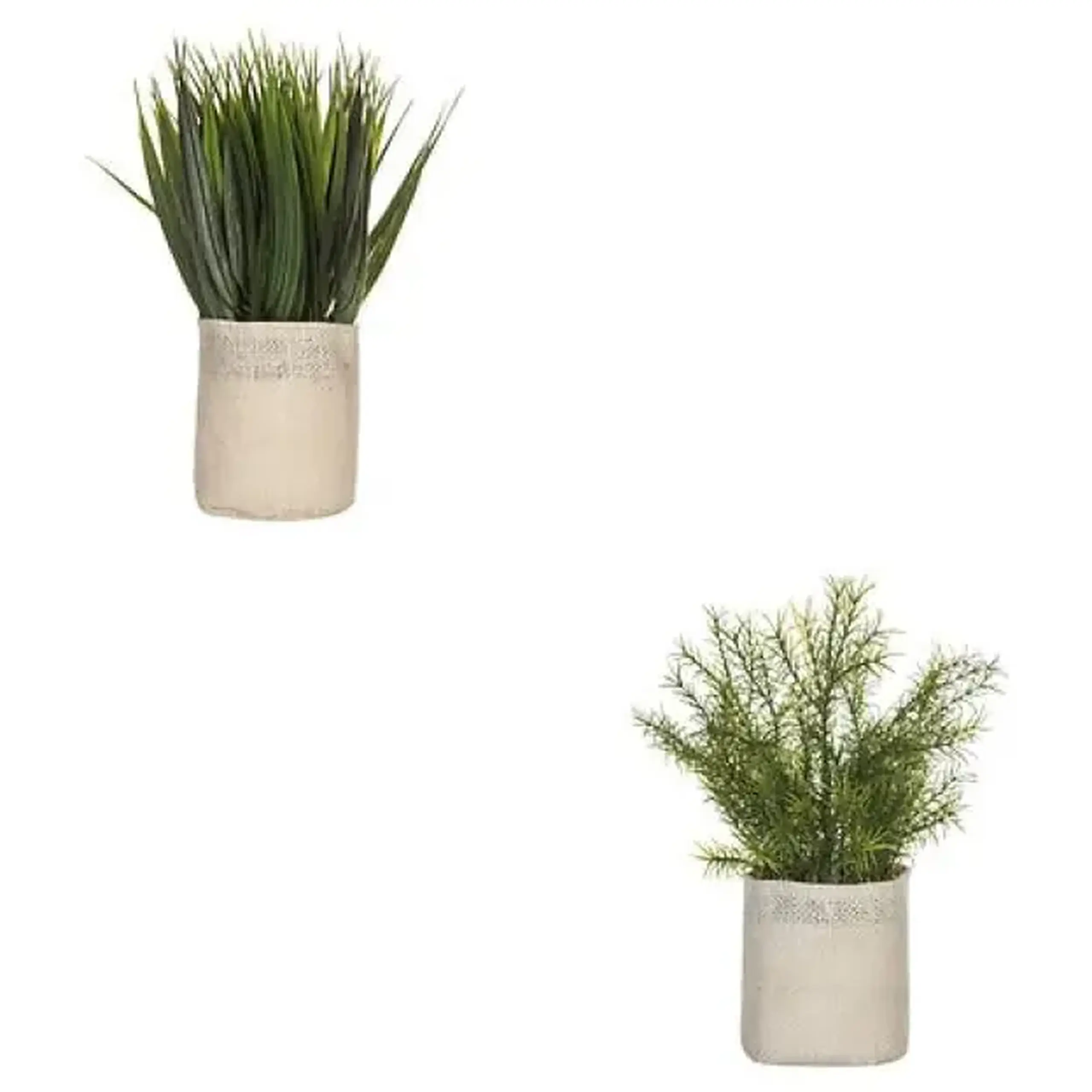 Compoziție florală ASS H25