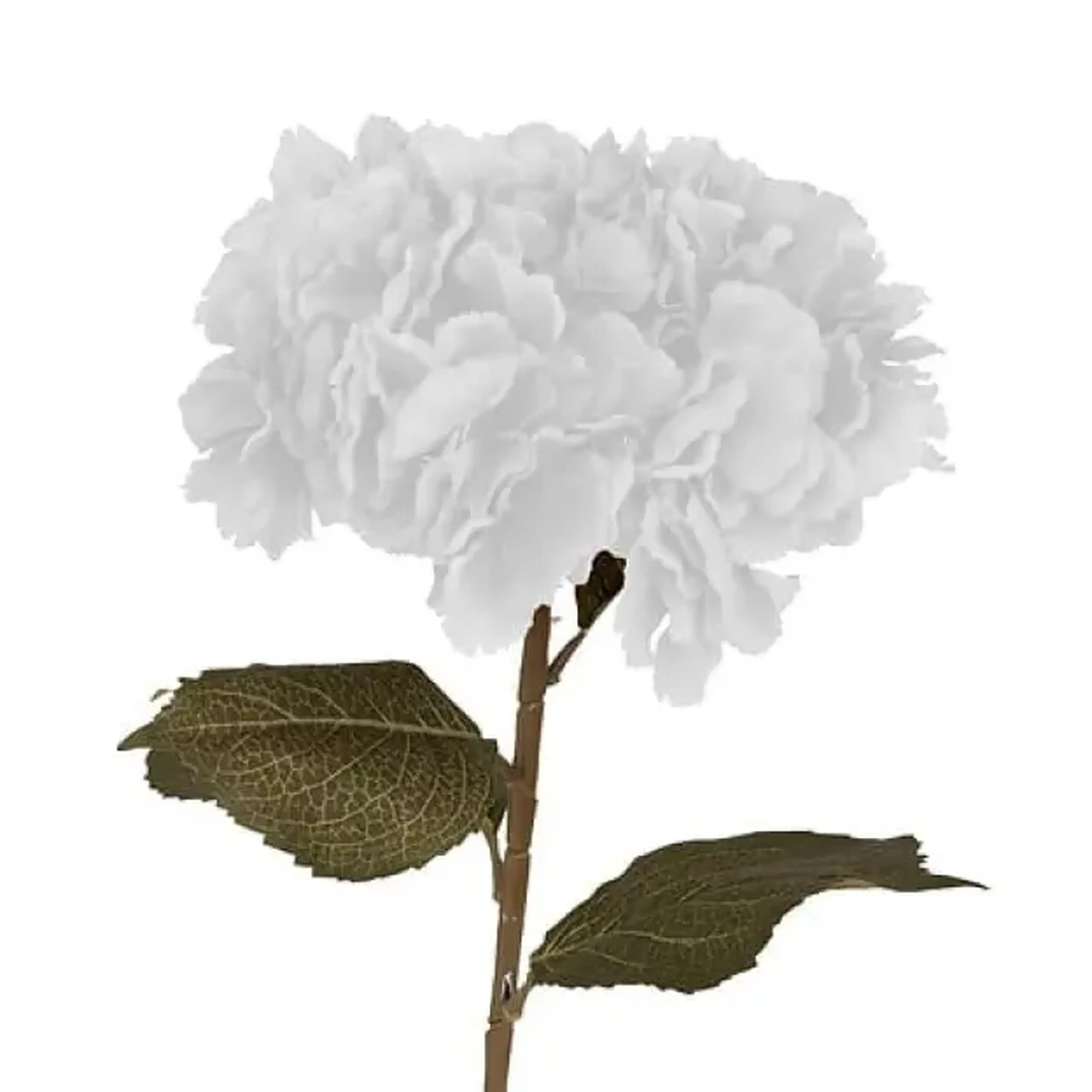 Compoziție florală HORTENSIA SERATA H83