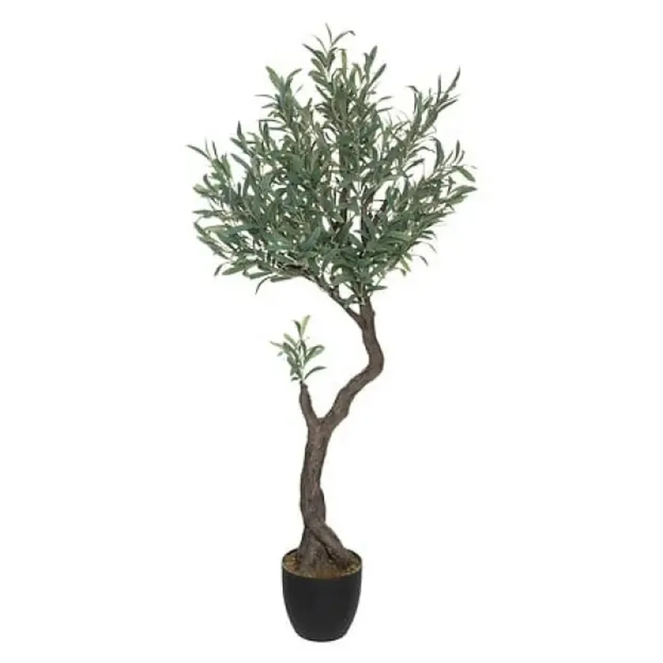 Copac OLIVE H150