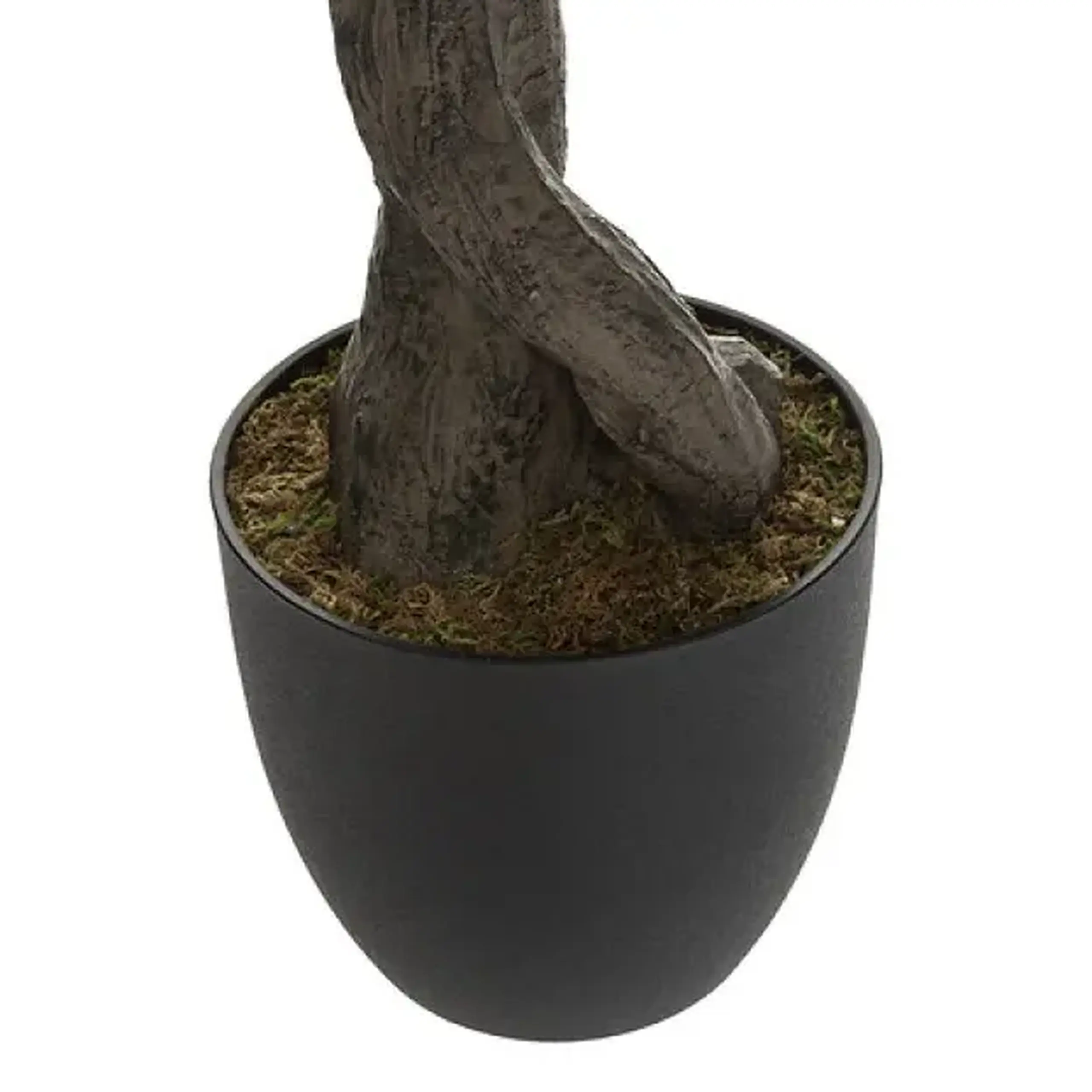 Copac OLIVE H150