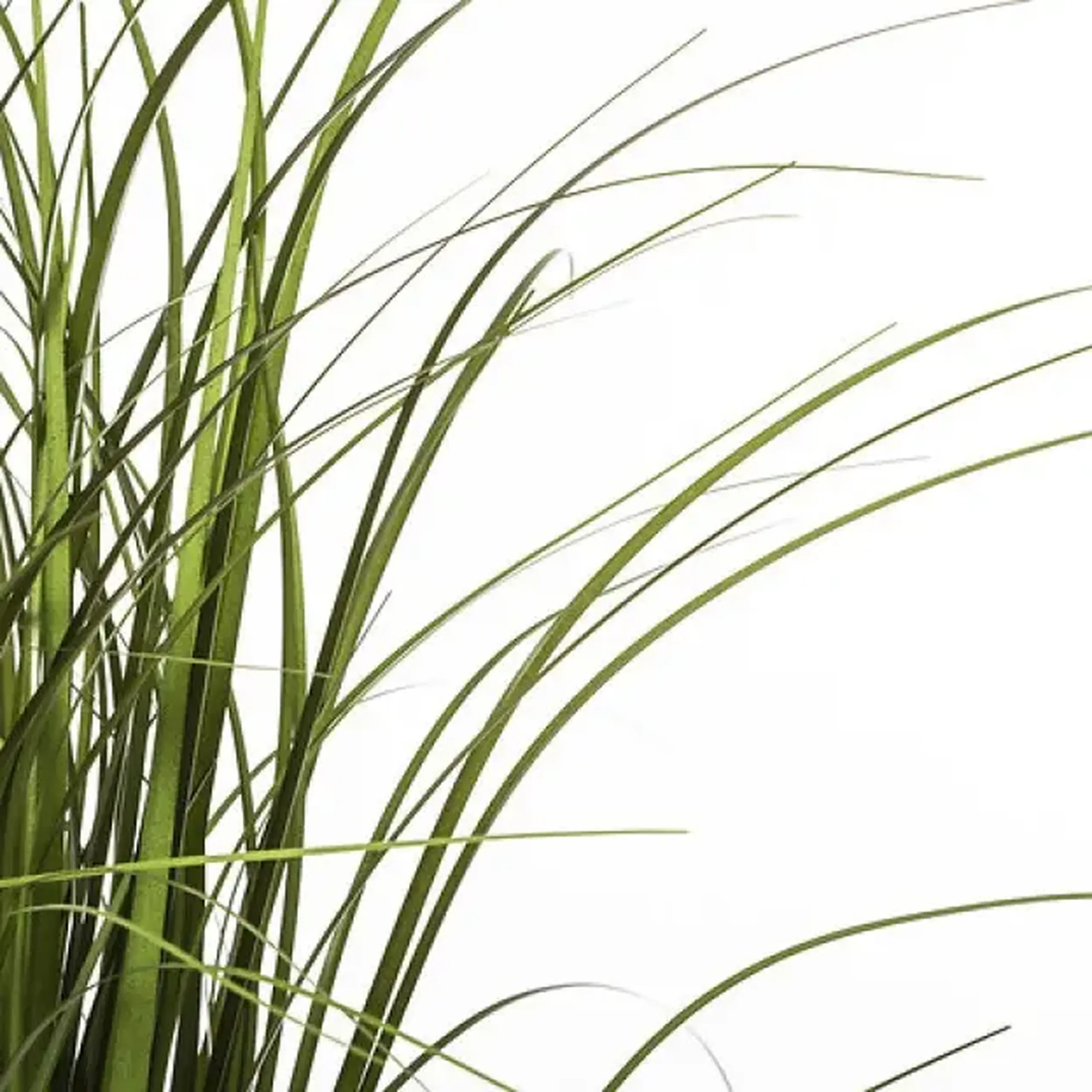 Compoziție florală GRASS