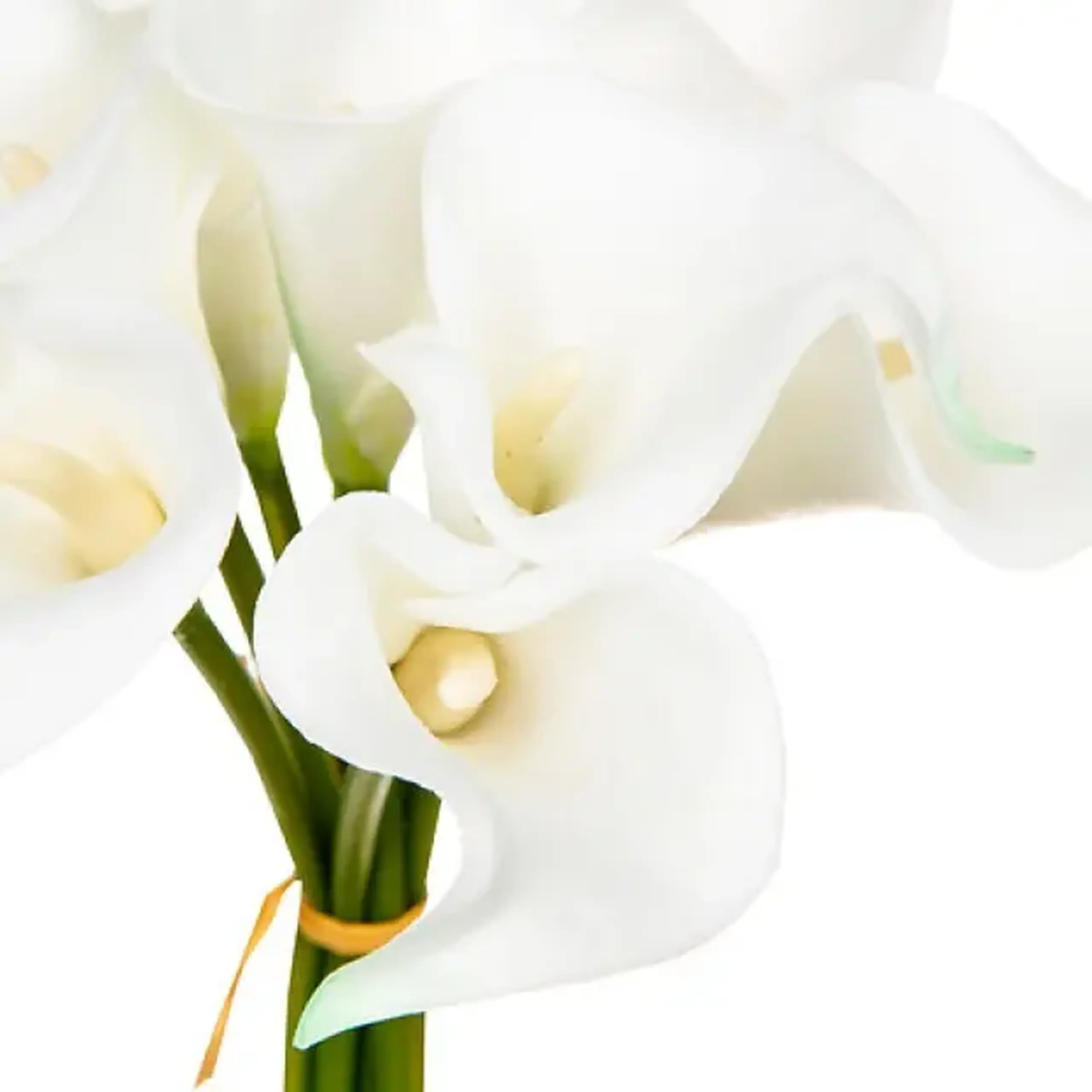 Buchet ARUM BLANC H36