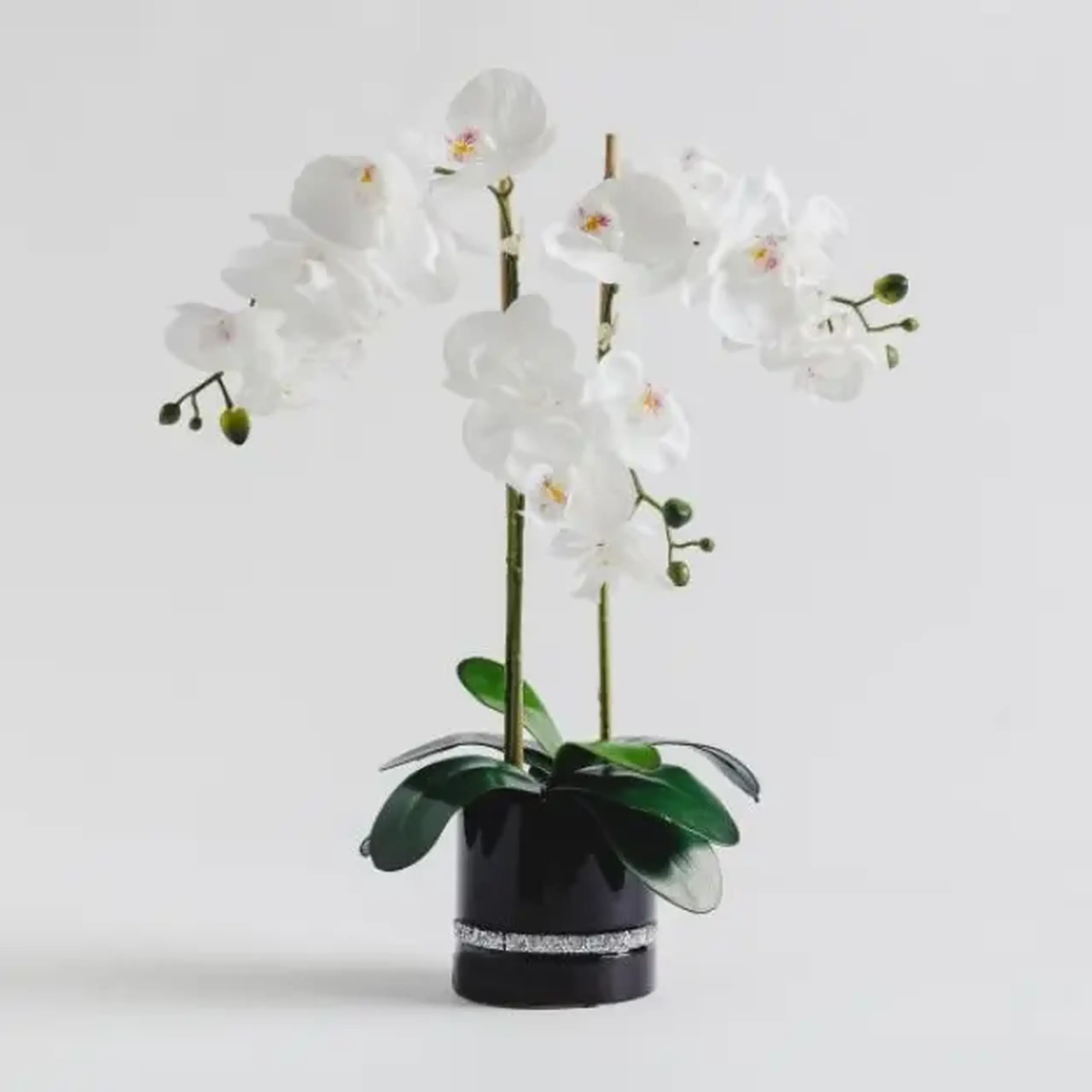 Compoziție florală ORCHGLAM