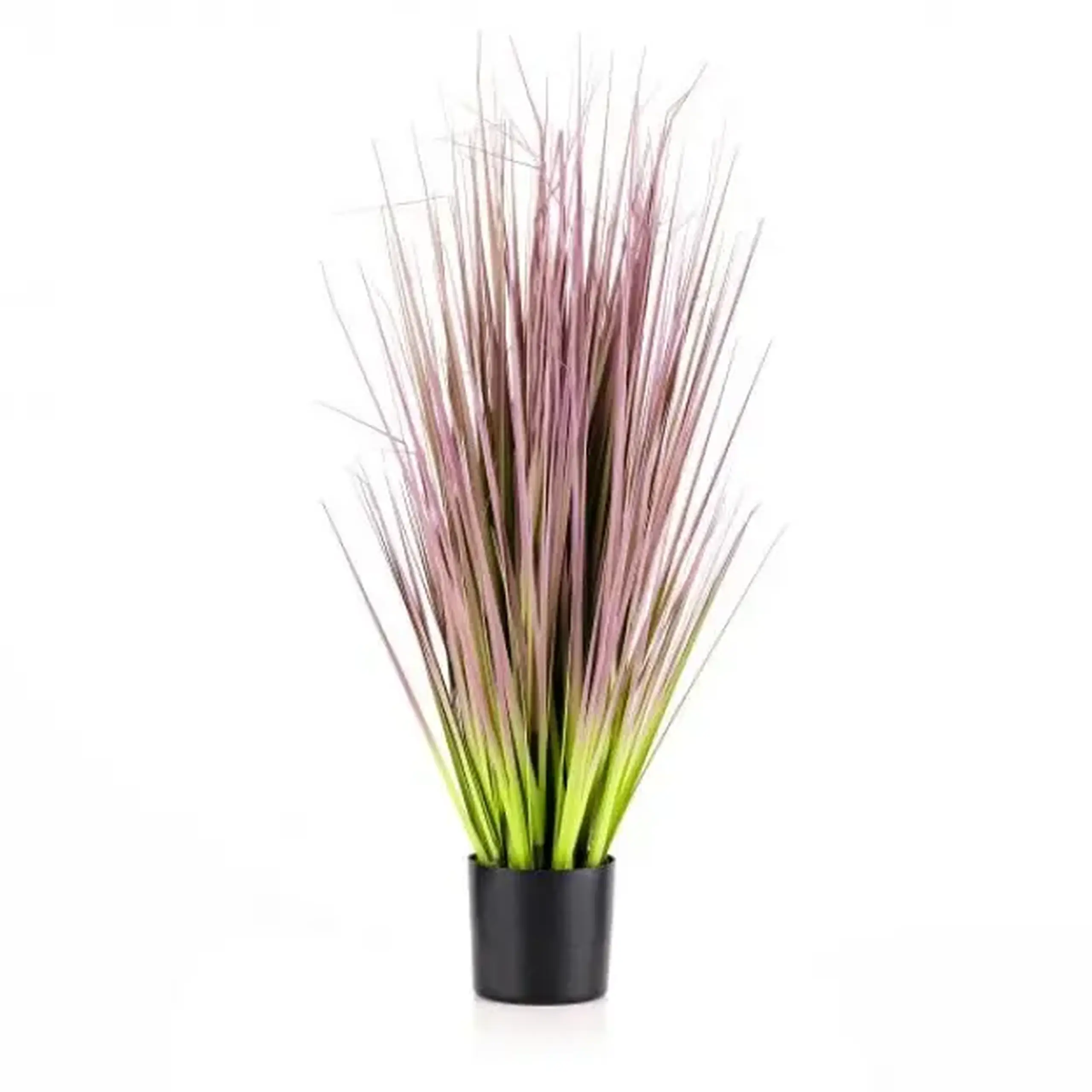 compoziție florală SWEETFLAG