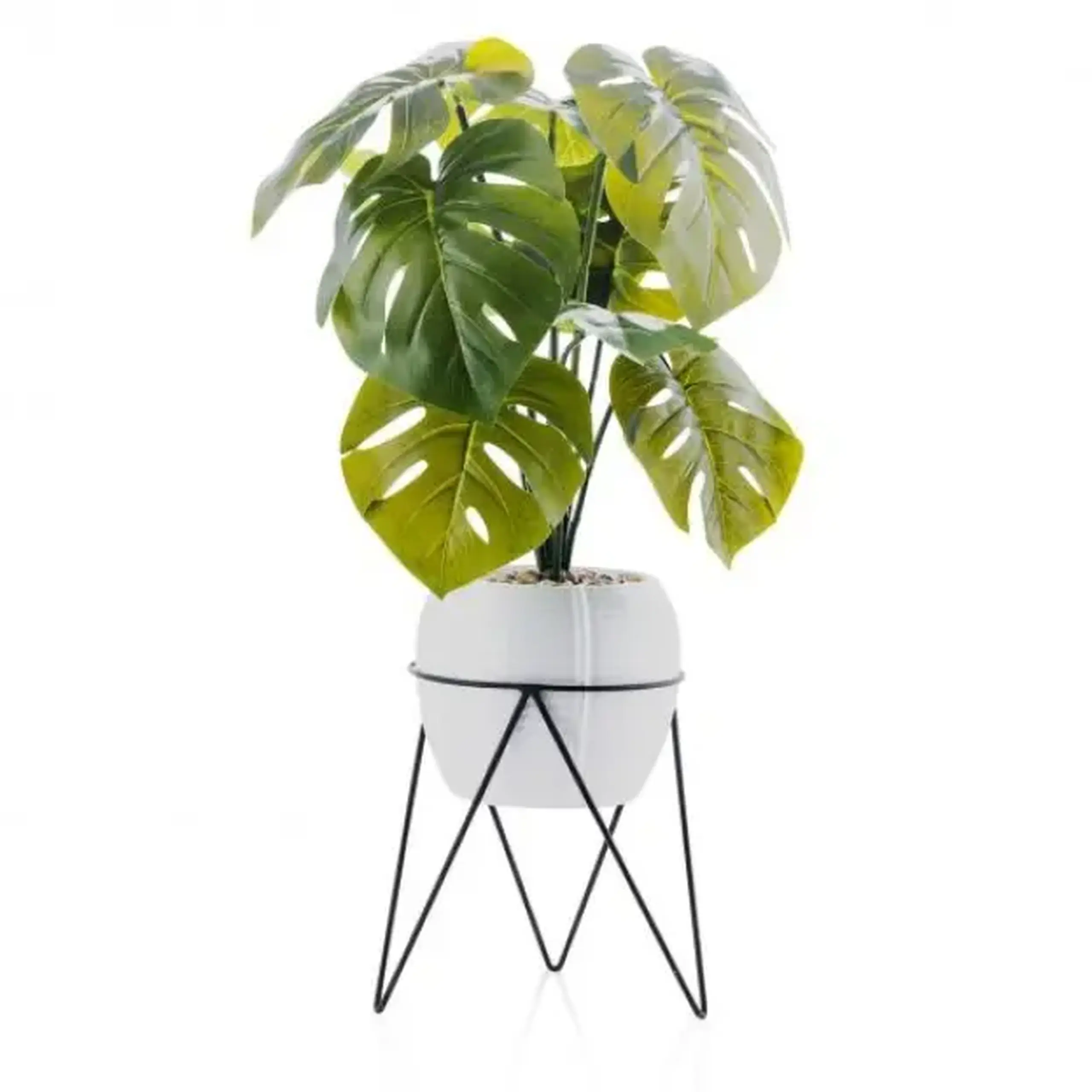 compoziție florală TROPICANUM