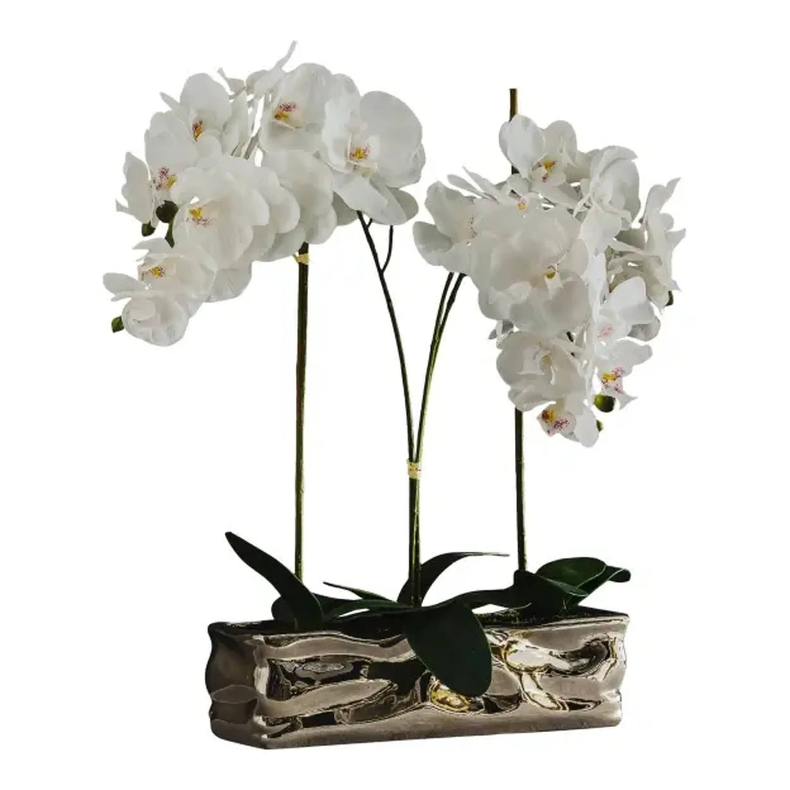 compoziție florală ORCHIANUM BIG