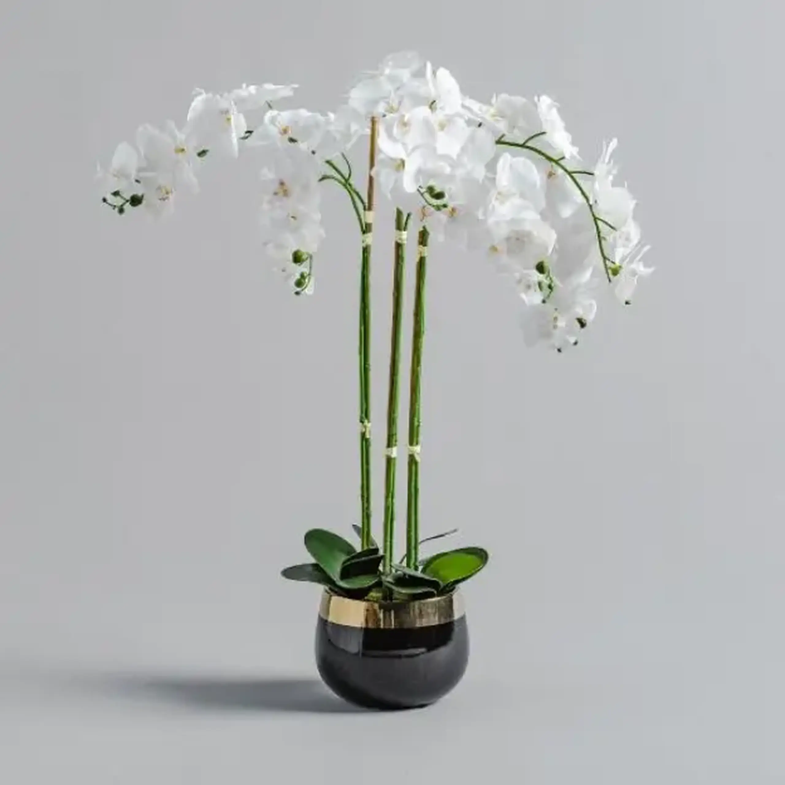 compoziție florală ORCHIDA