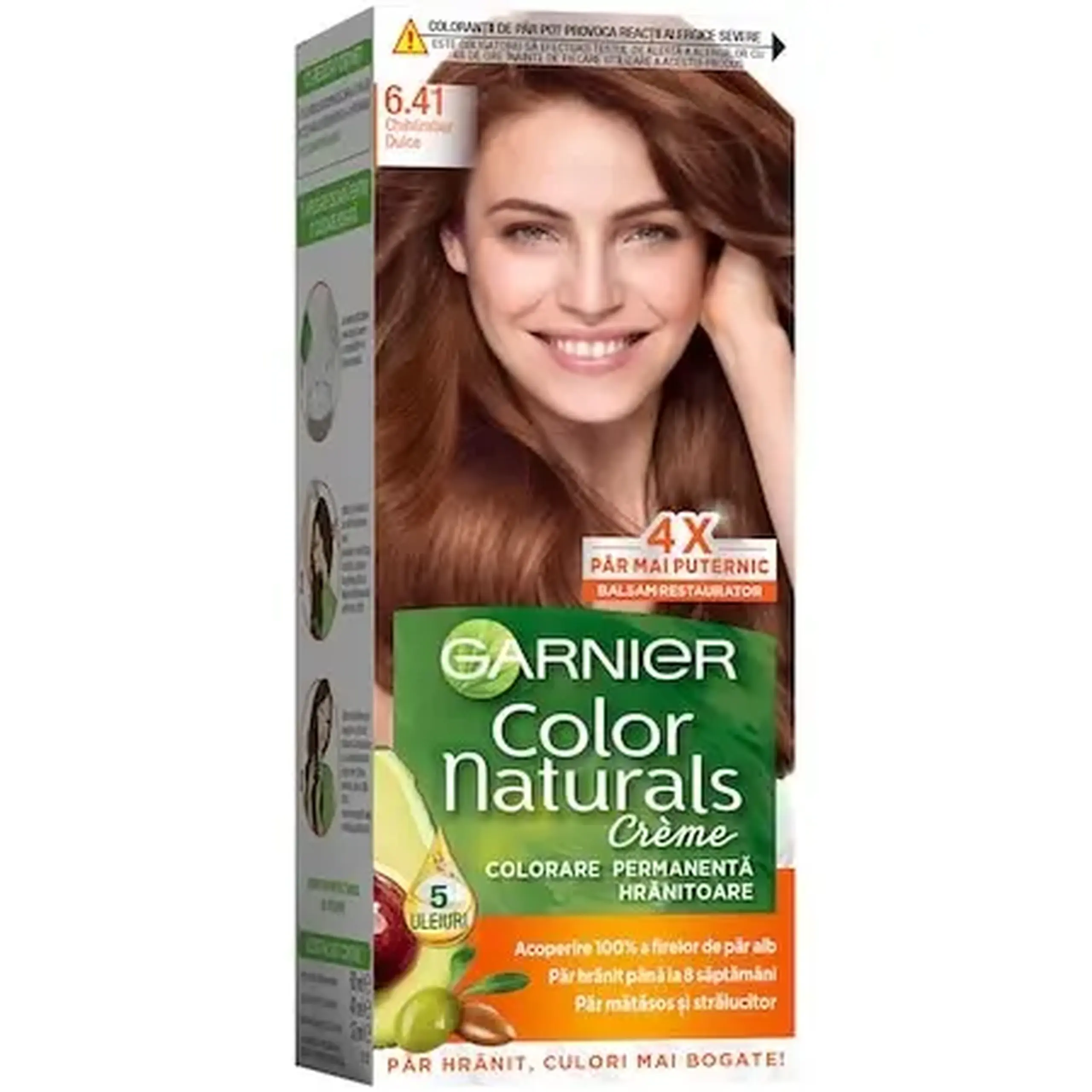 Garnier Color Nat 6.41