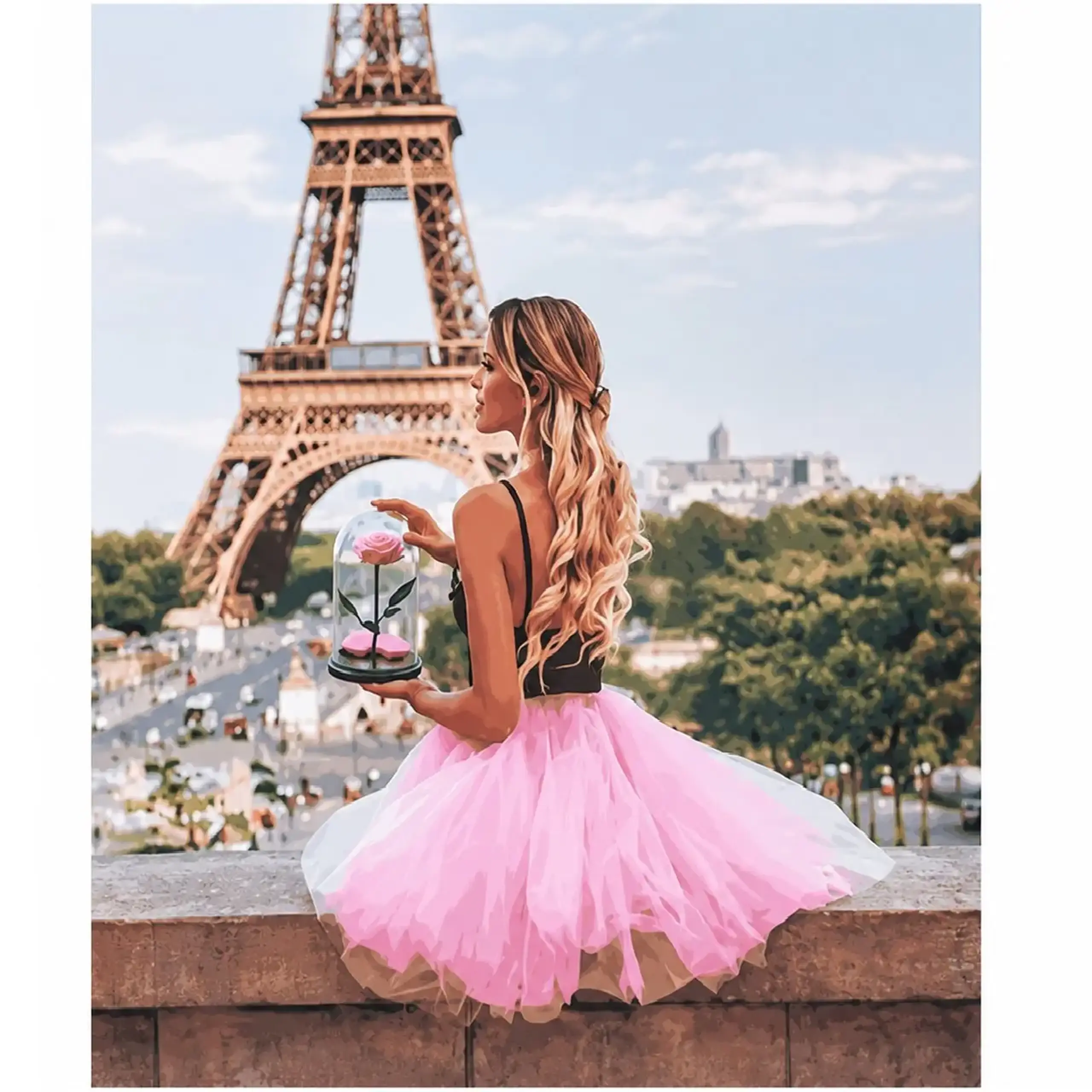 Set pictam pe numere Paris (40*50)