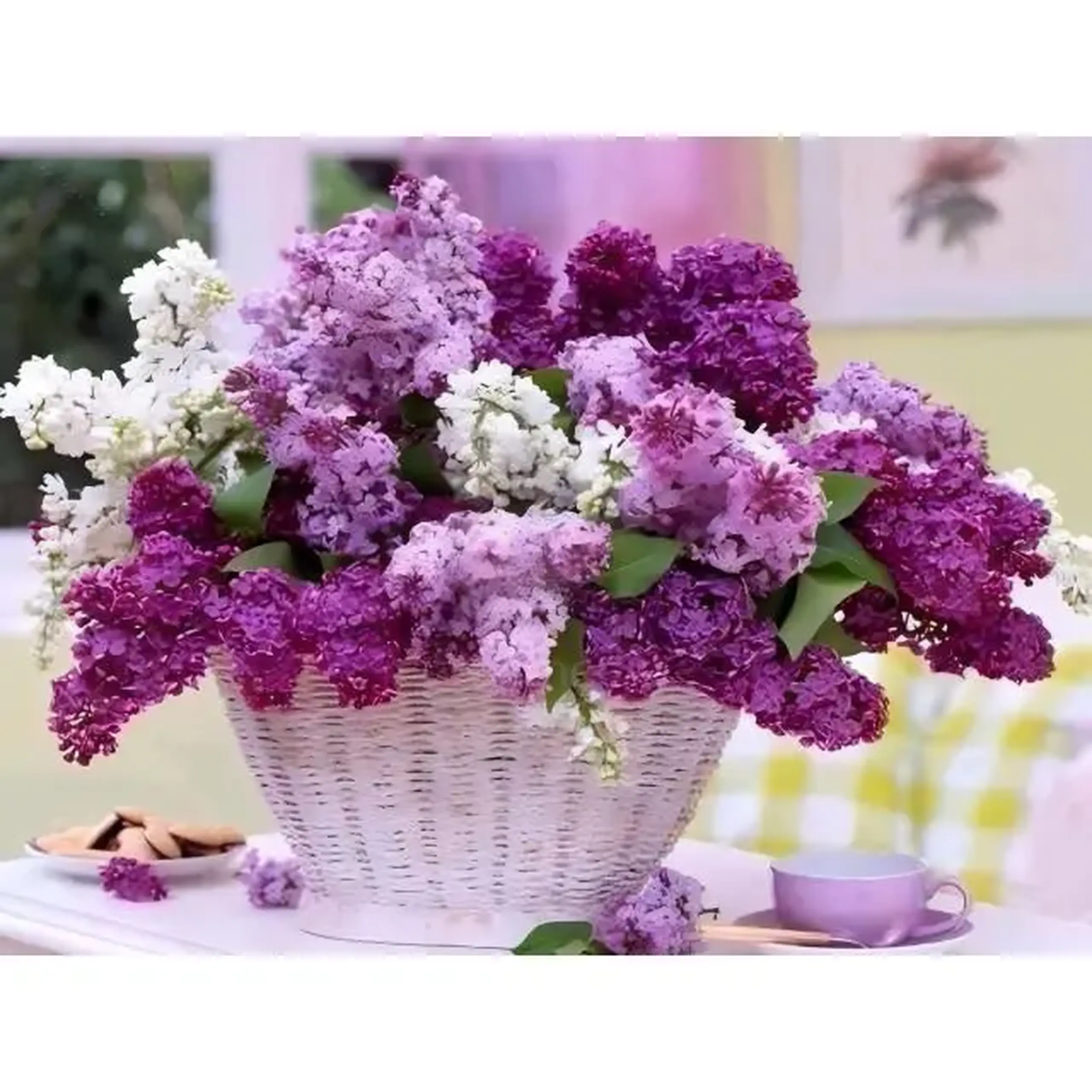 Set pictam pe numere Liliac (30*40)