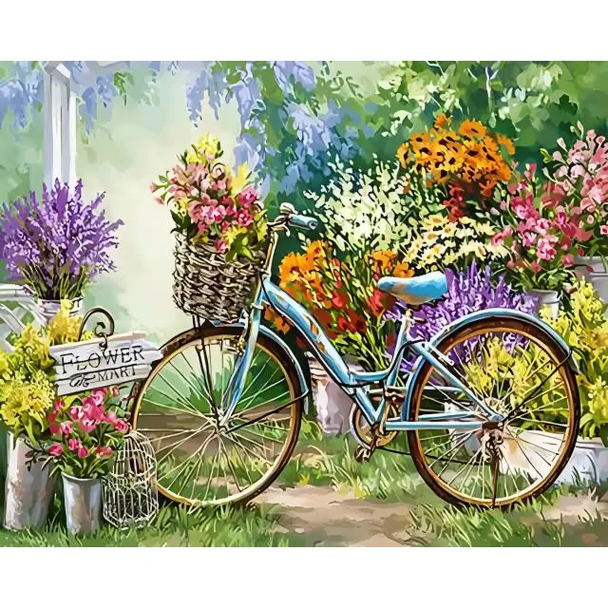 Set pictam pe numere Bicicleta (40*50)