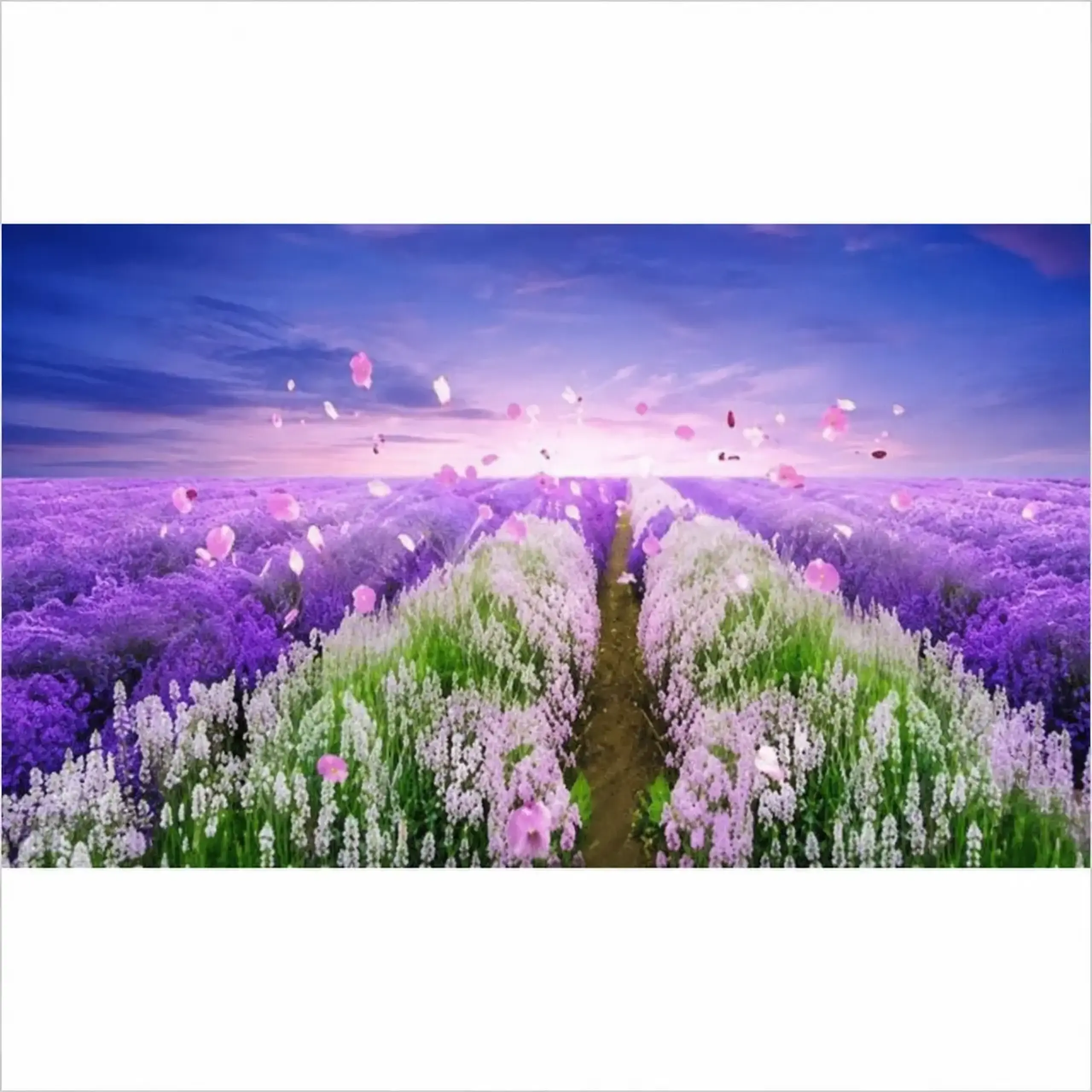 Diamond mozaic Lavanda (30*40)