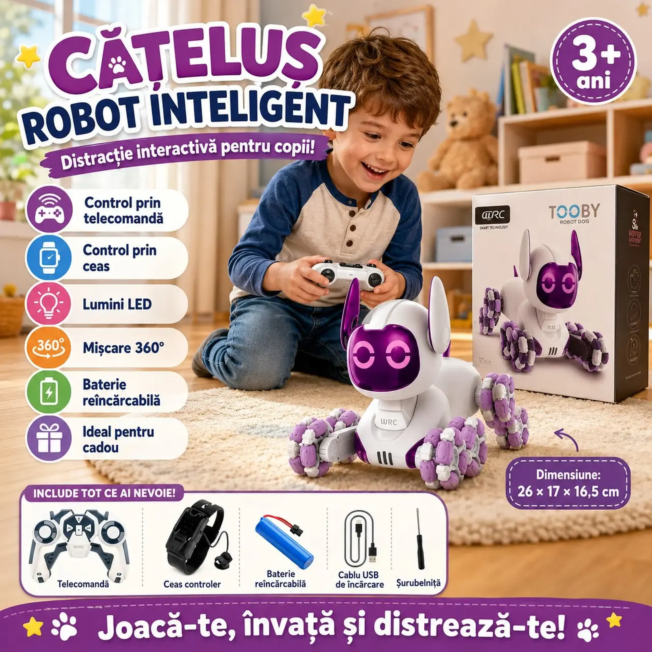 Robot cu R/C