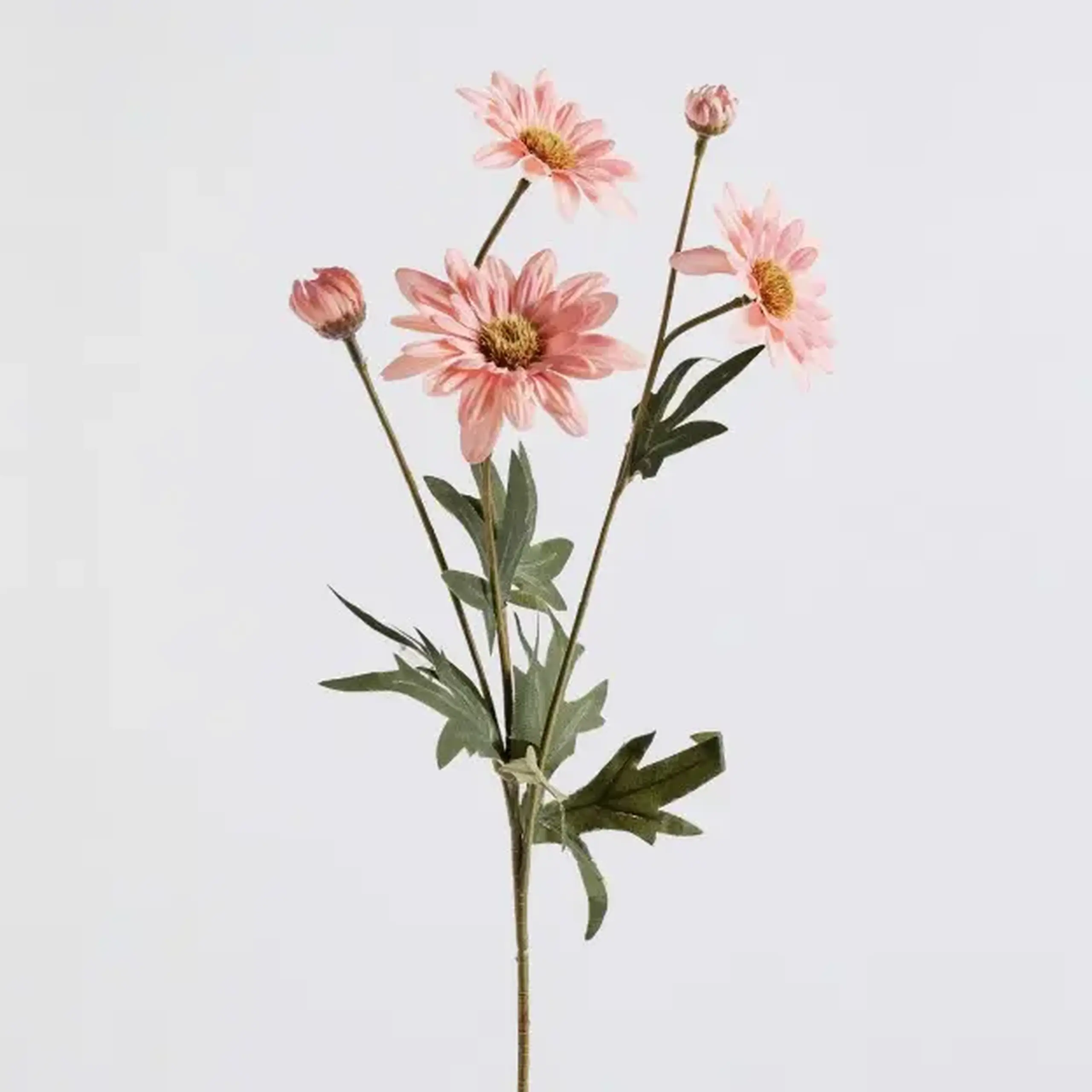 Compoziție florală MARGARETO