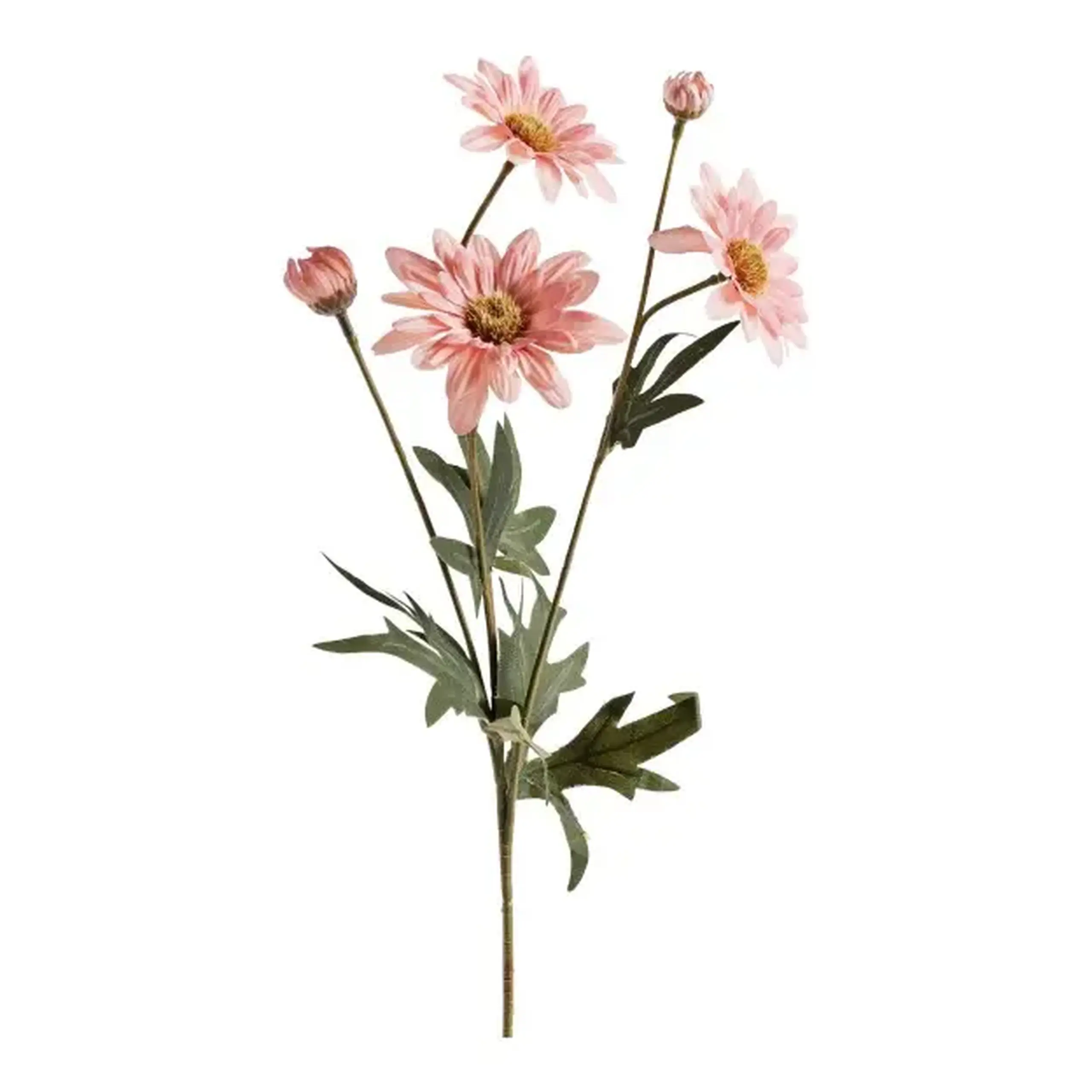 Compoziție florală MARGARETO