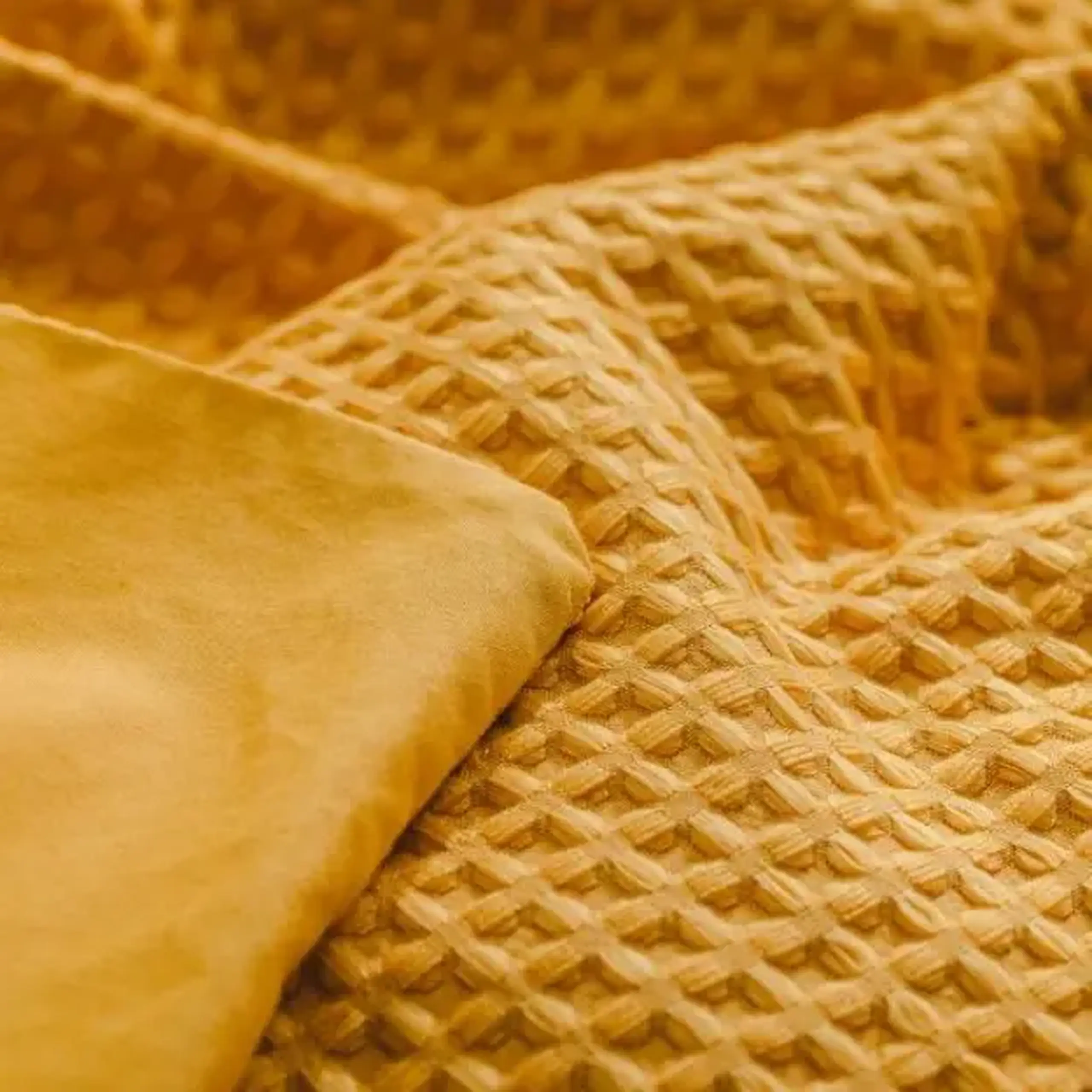 Lenjerie de pat BARLEYS