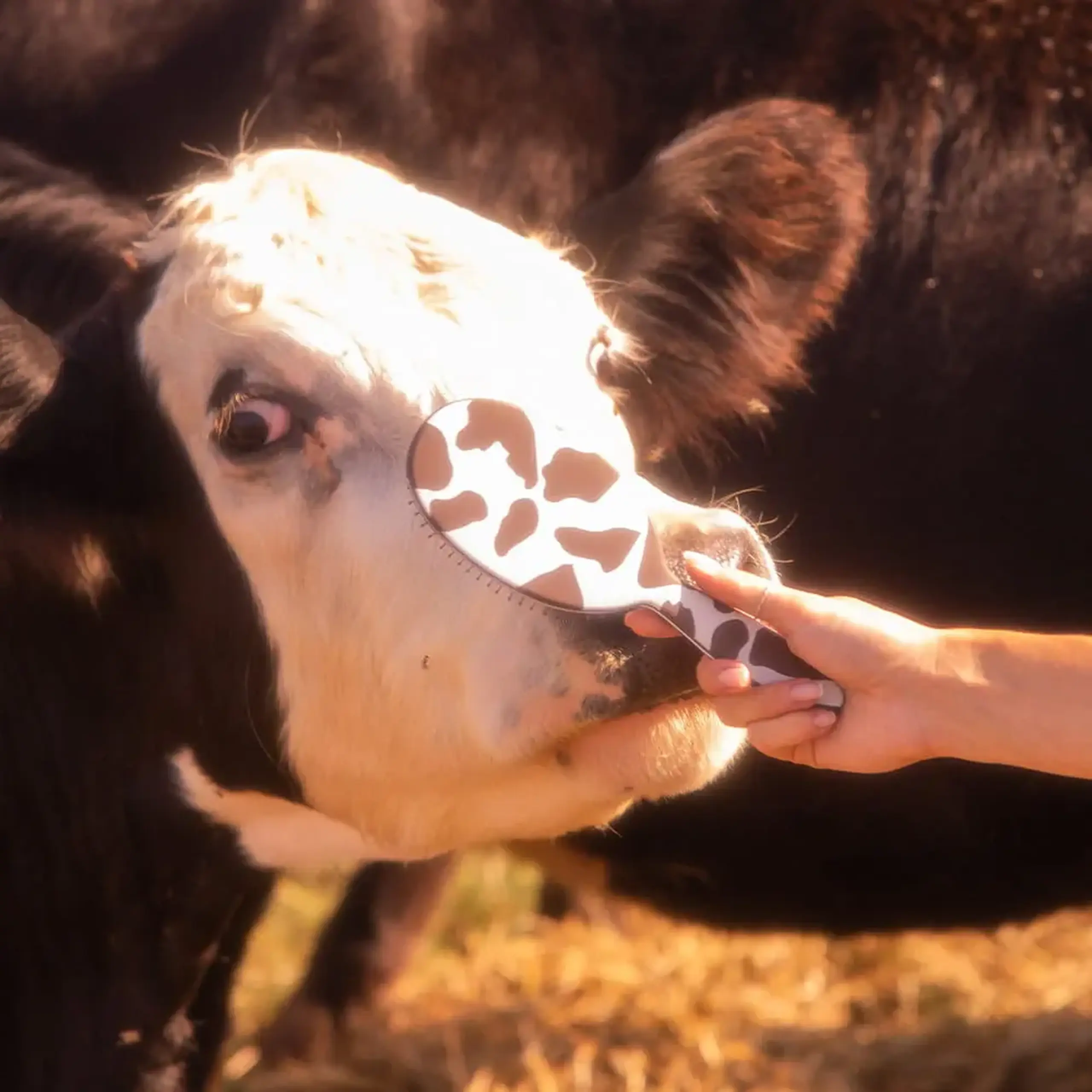 Perie de păr Framar Detangle Brush Yeehaw