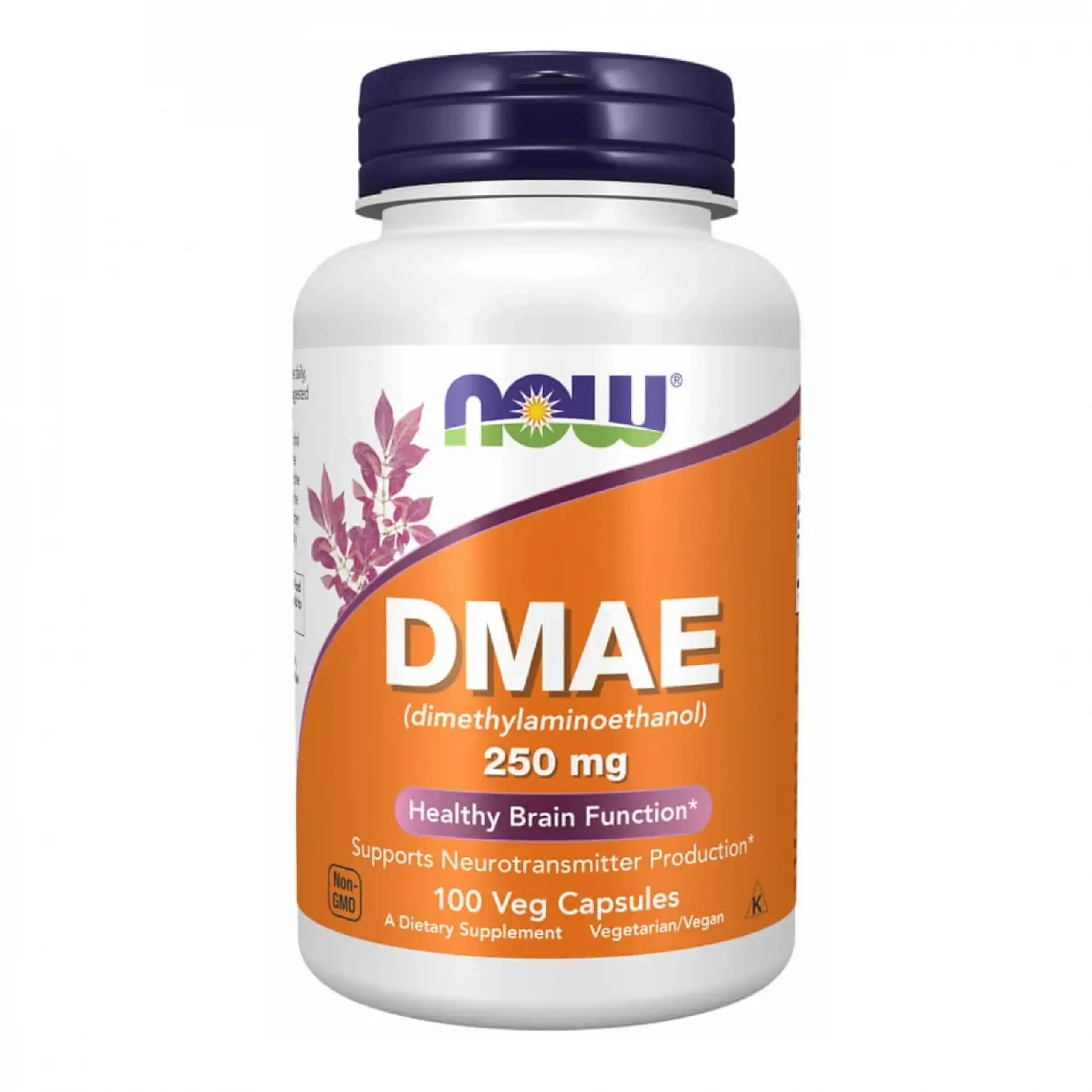 Now Foods, DMAE 250 mg, 100 capsule vegetale