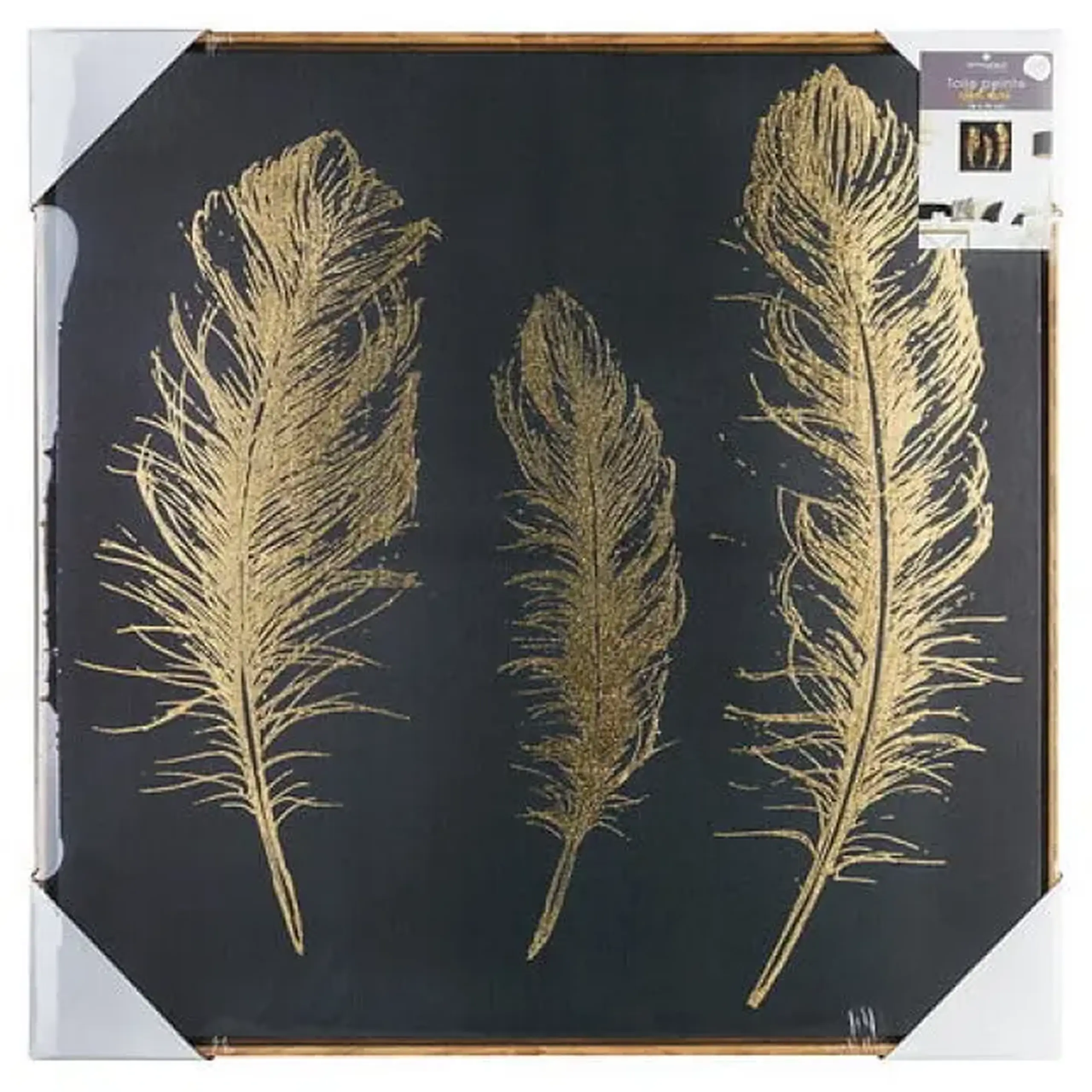 Tablou PLUME 78X78
