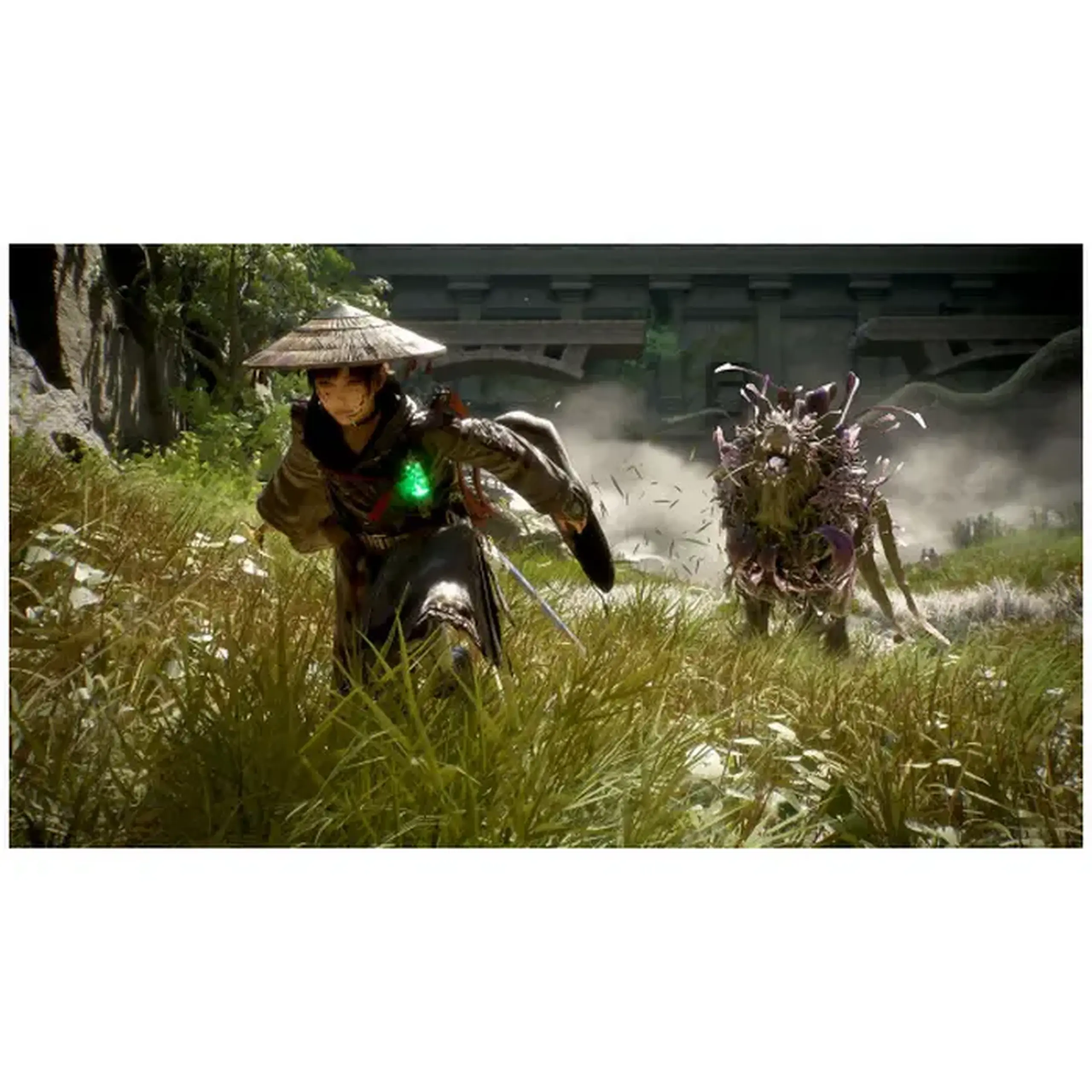Game For PS5 Beast Of Reincarnation