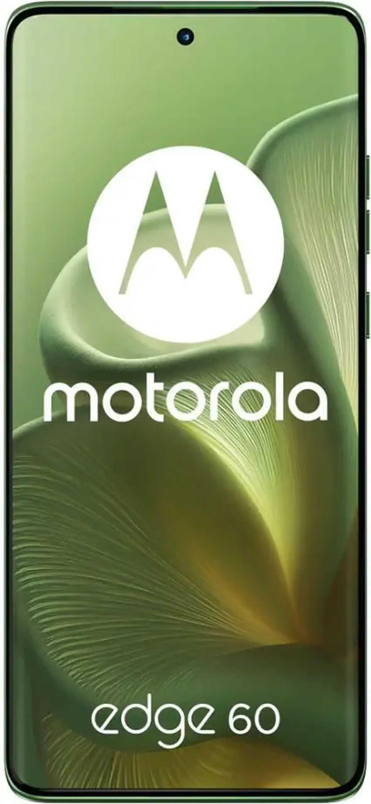 Smartphone Motorola Edge 60 12/256GB Shamrock