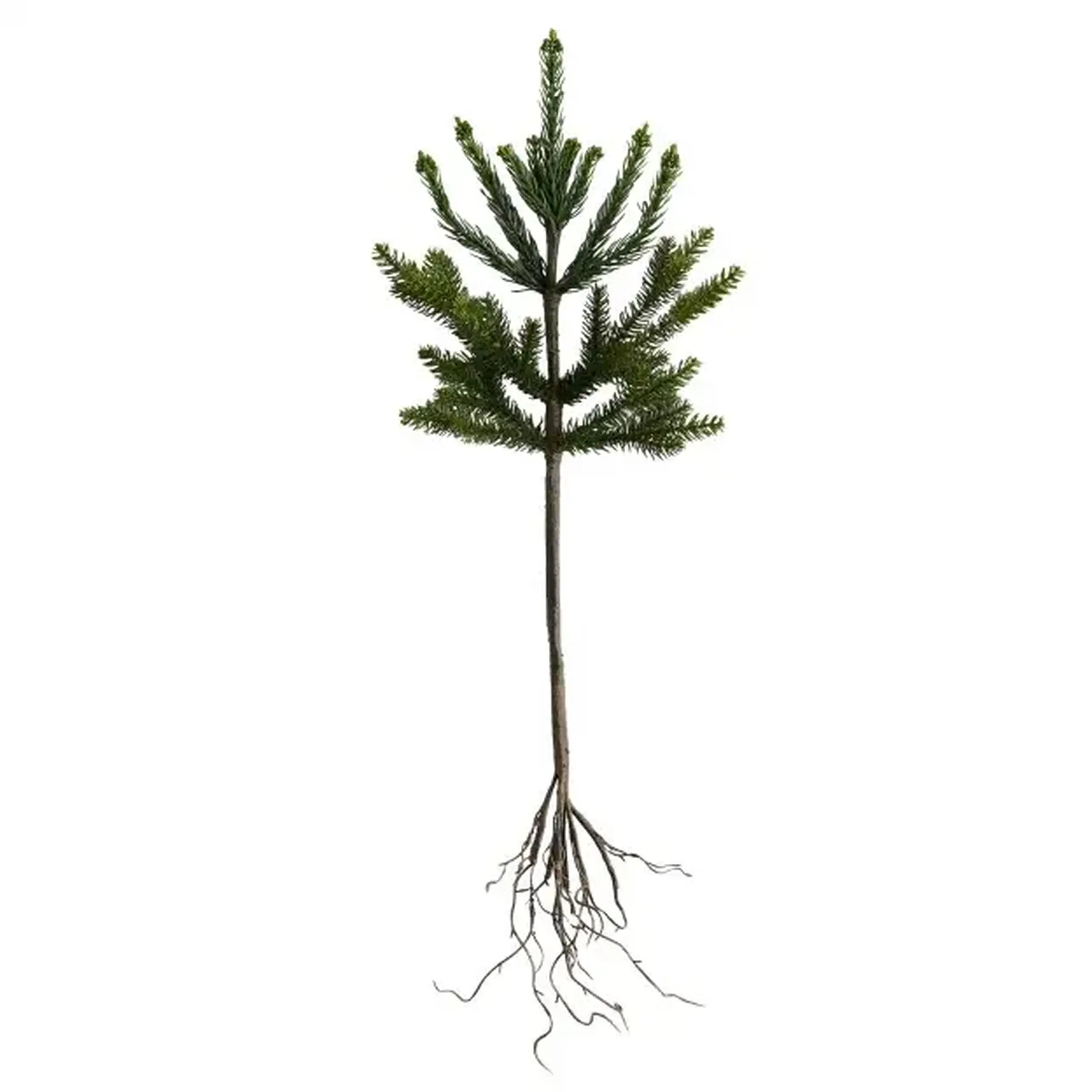 Crenguta decorativa ROOTSI