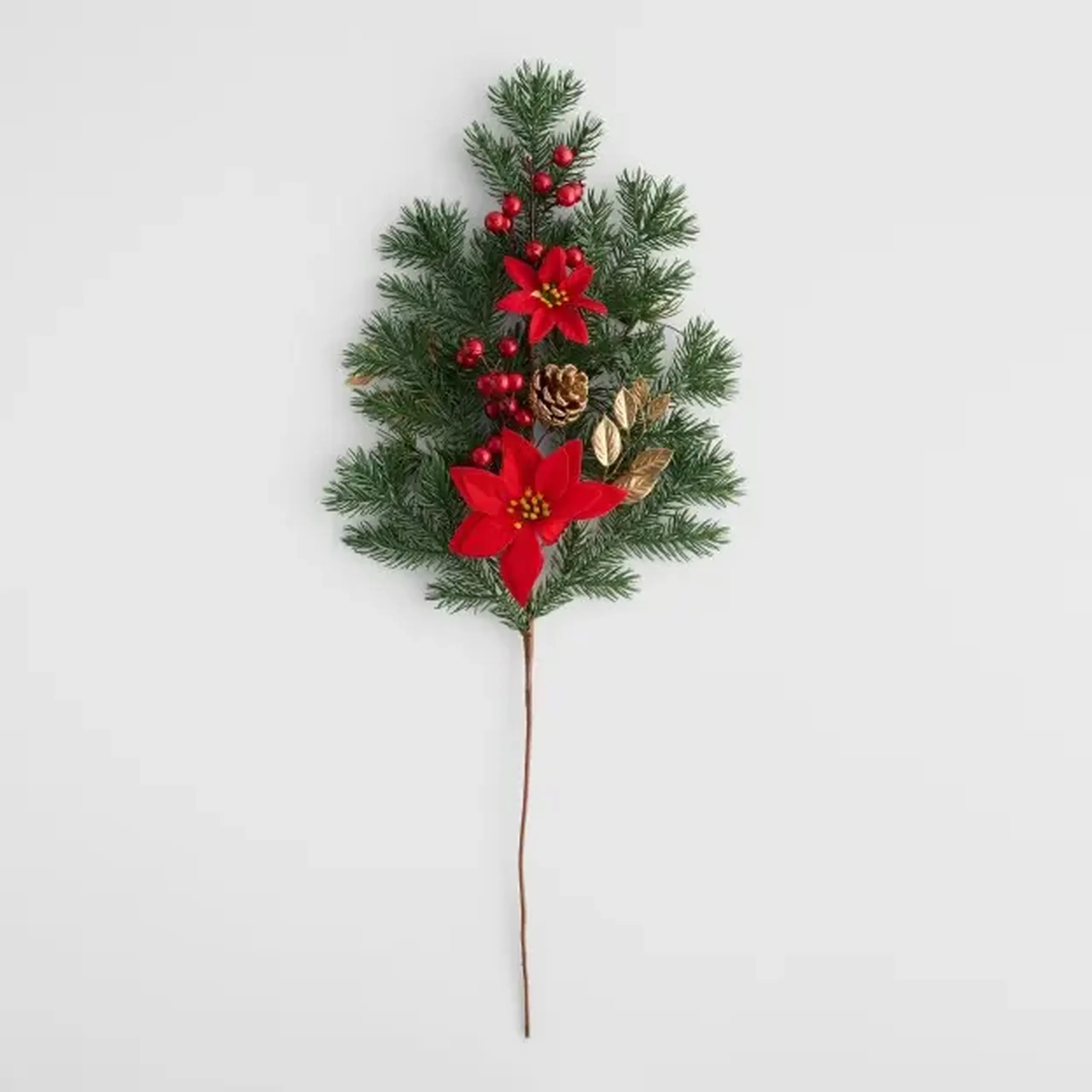 Crenguta decorativa EUFORBIS