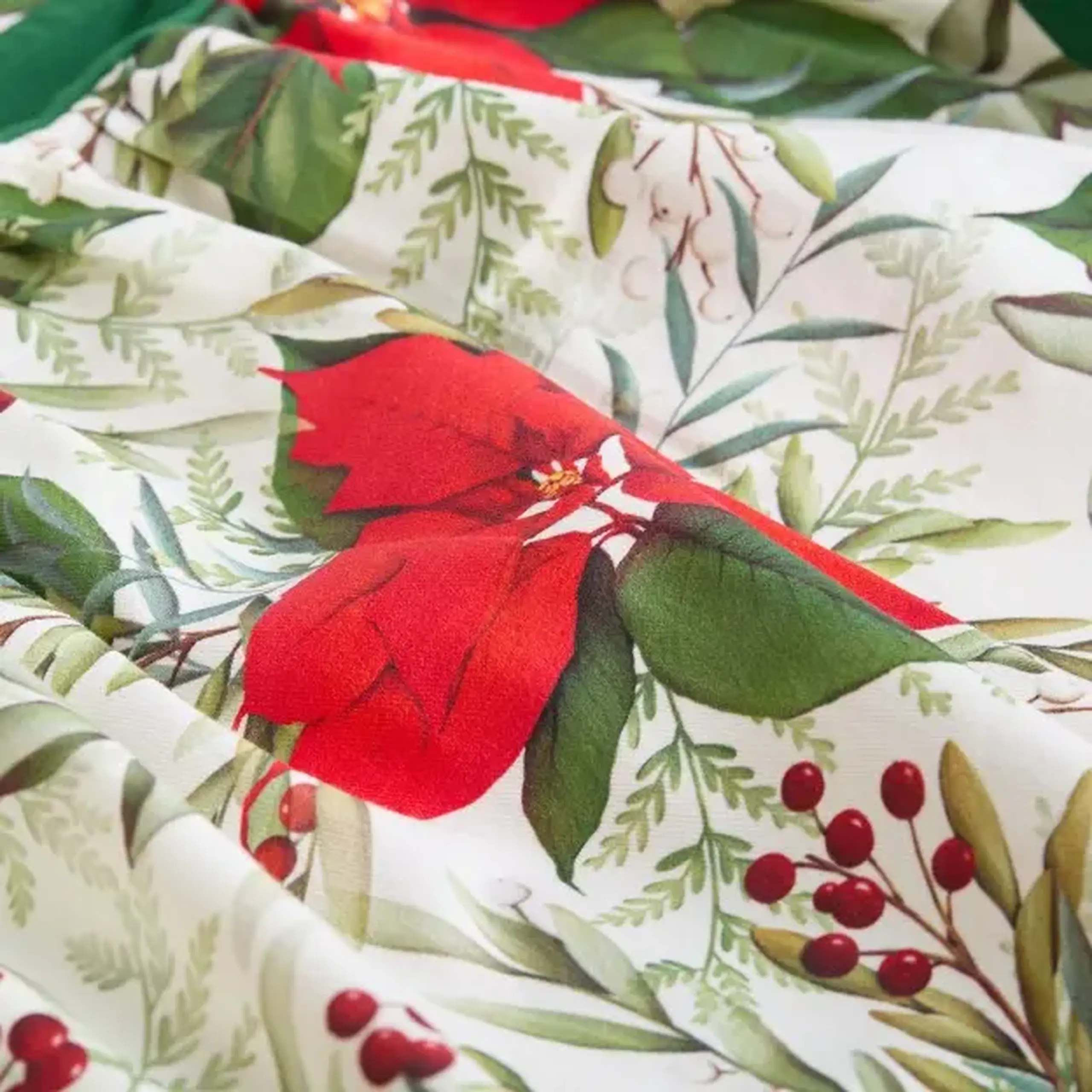 Sort POINSETTA