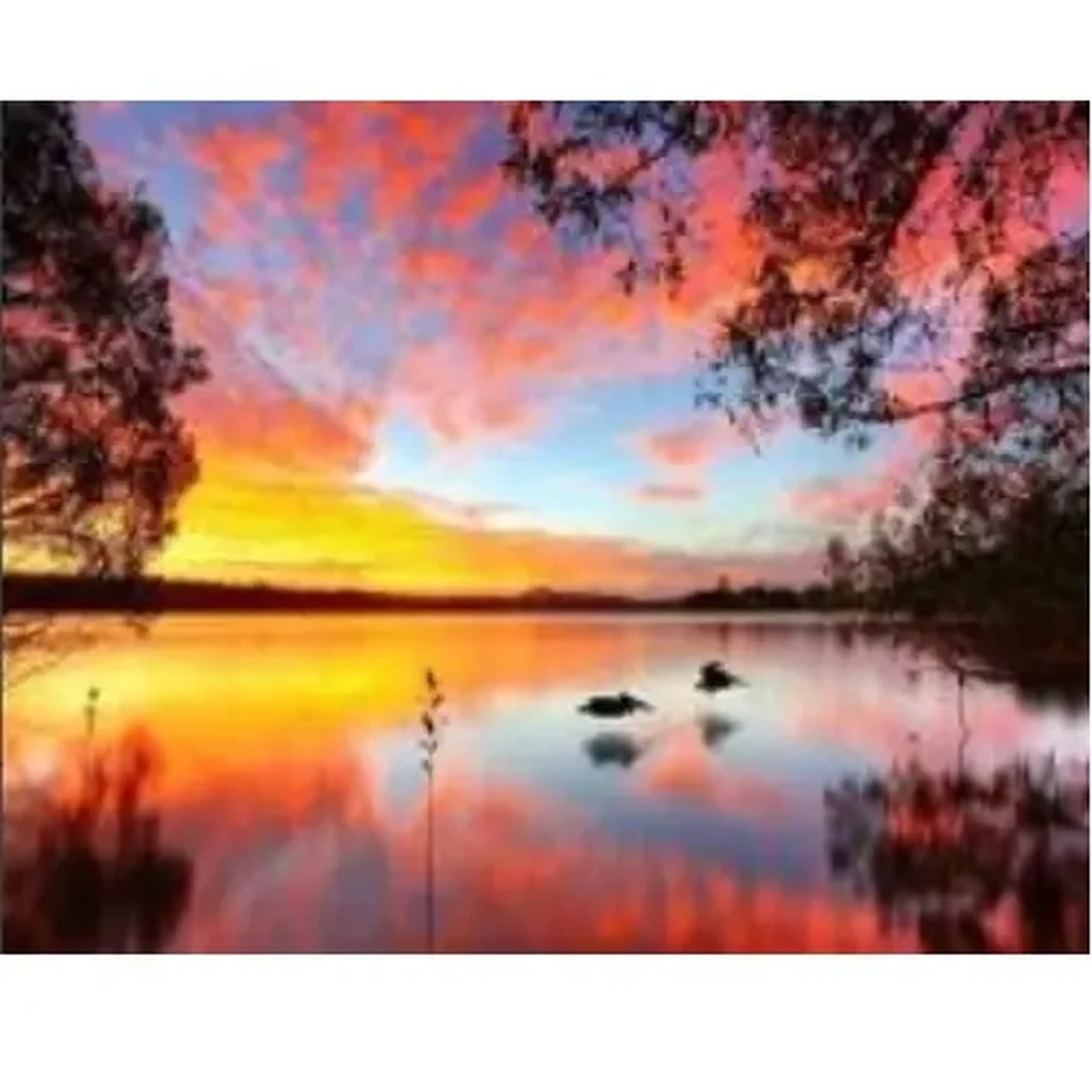 Set pictam pe numere Lac (30*40)