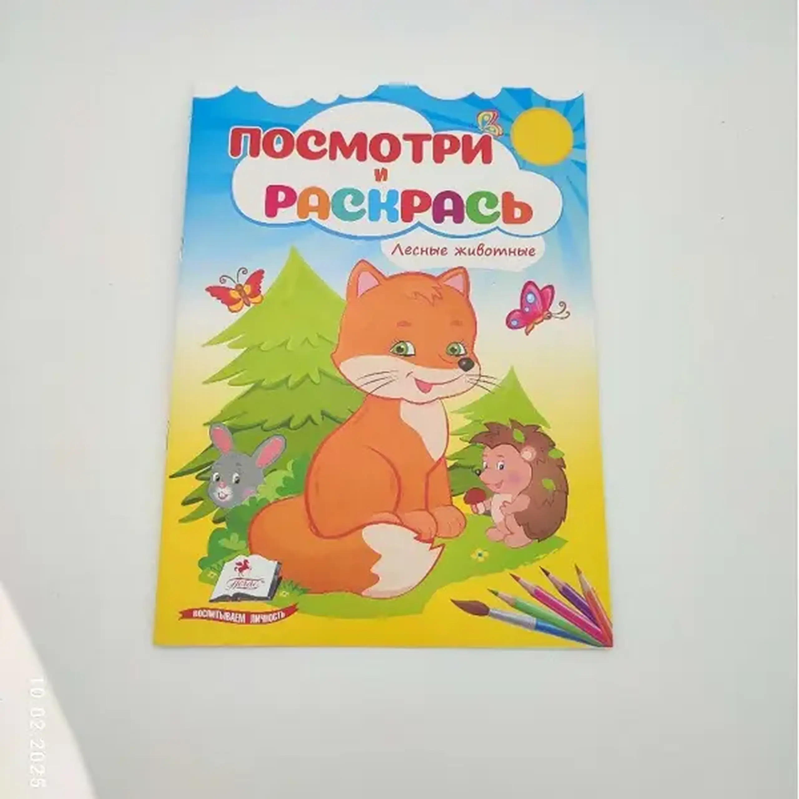 Посмотри и раскрась - Лесные животные