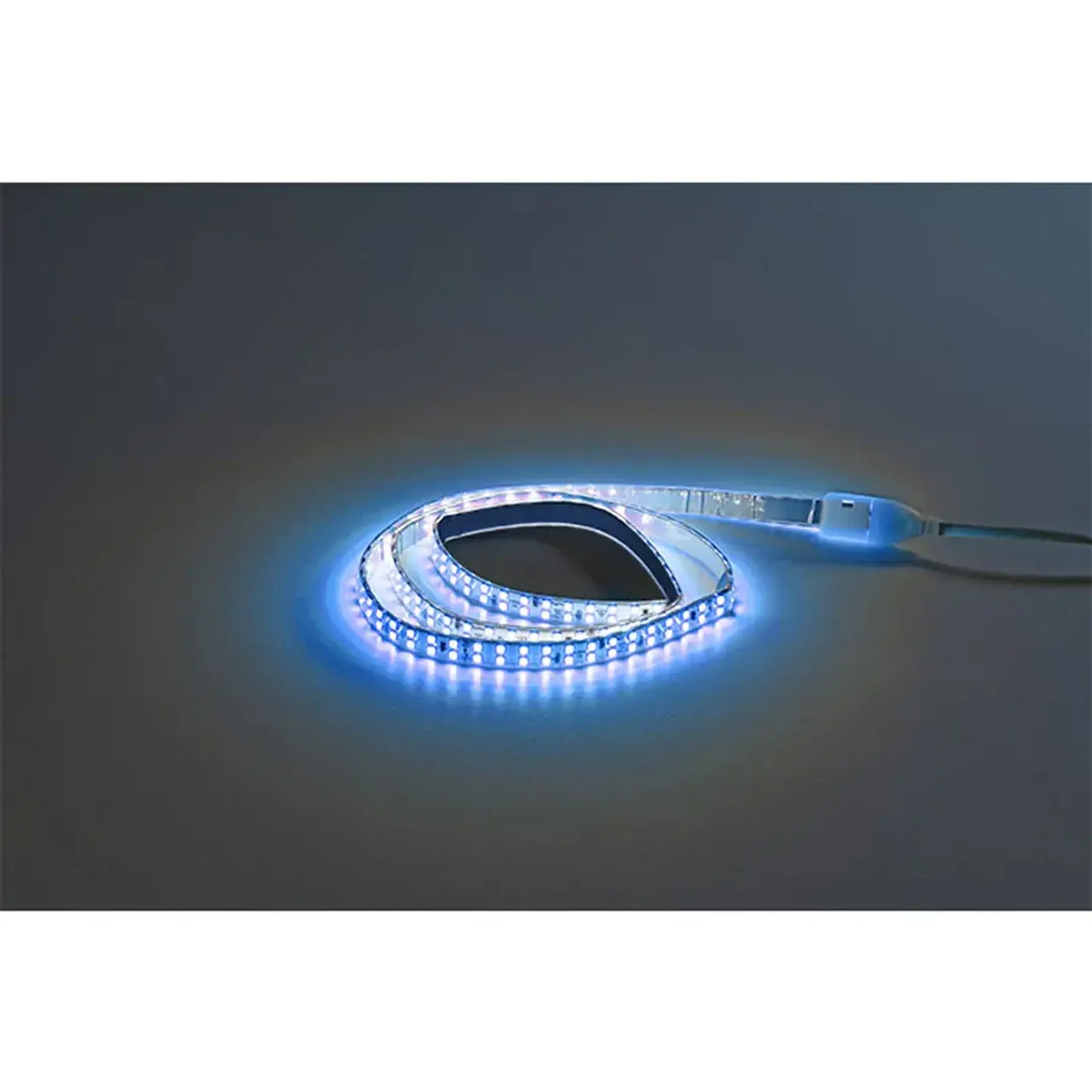 Bandă LED SAVA 11 W/m 220 - 240 V 50 m 1020 lm/m SMD IP65 Horoz