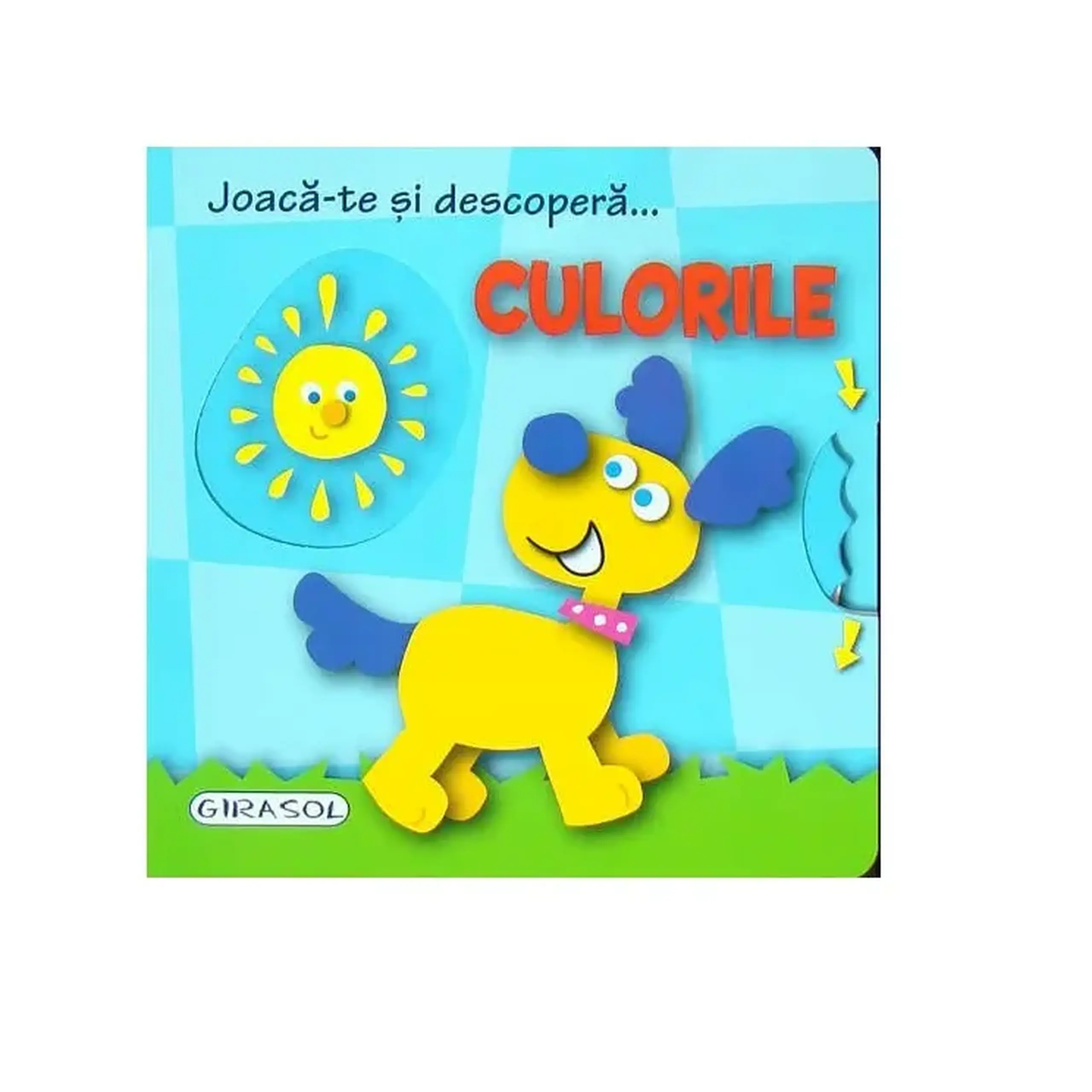 Joaca-te si descopera...Culorile_Girasol