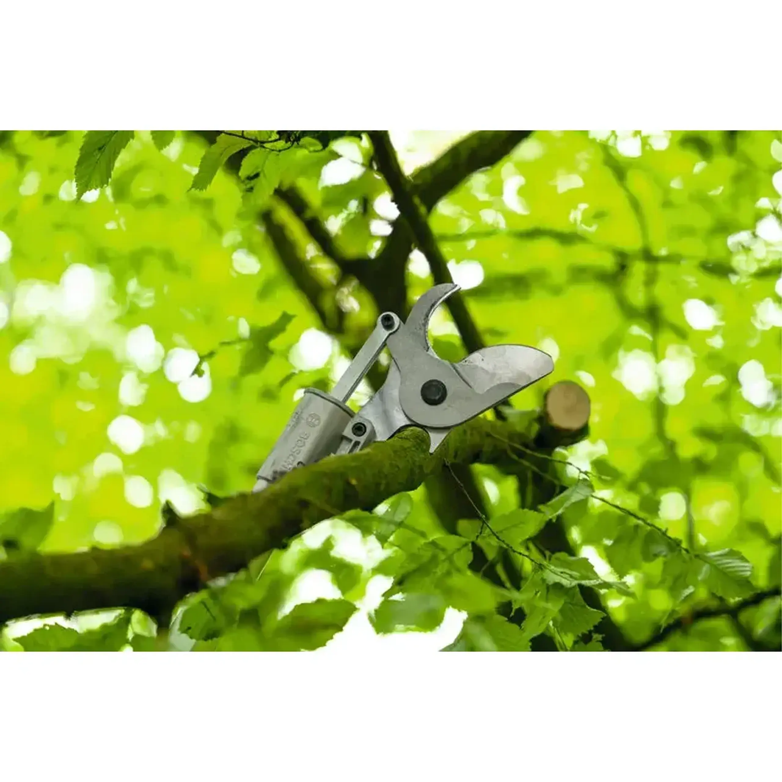 Foarfece de grădină pe acumulator (fără acumulator) GGP18V-45EP 45 mm 18 V Bosch