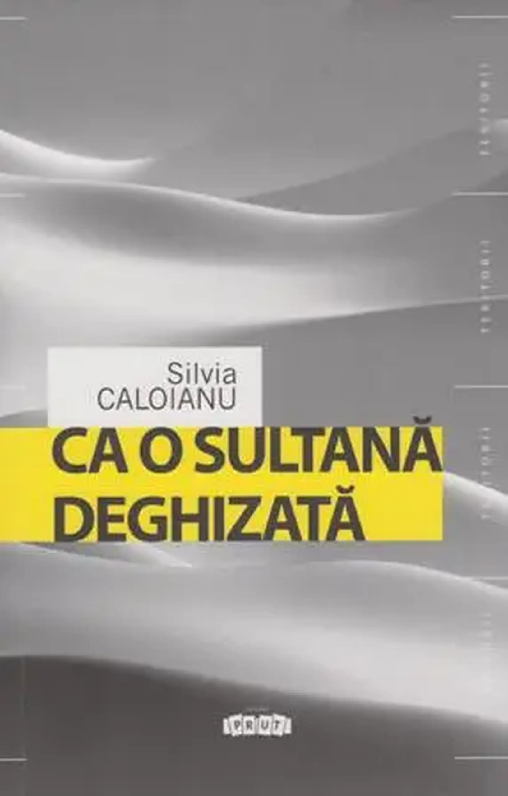 Ca o sultana deghizata | Silvia Caloianu